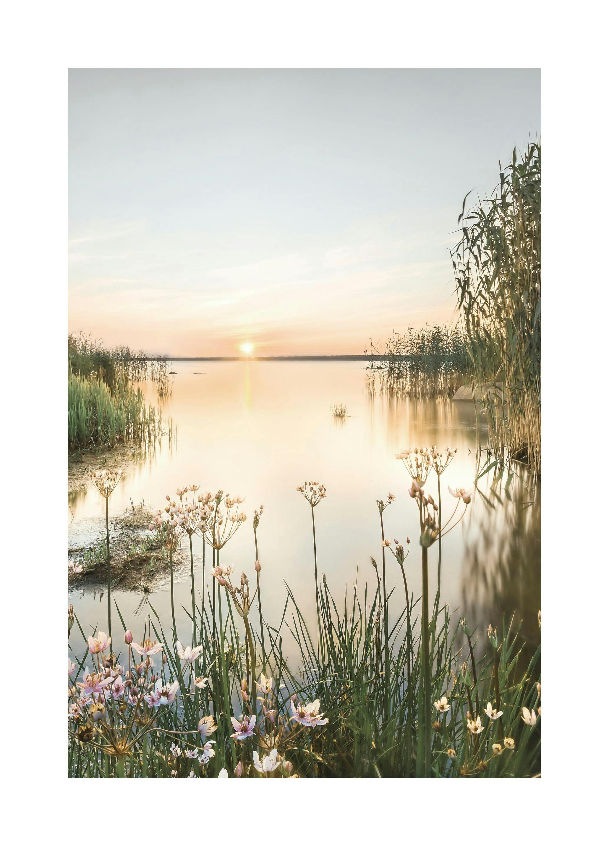 Nyári hajnal poszter (50x50 cm) - Poster Store