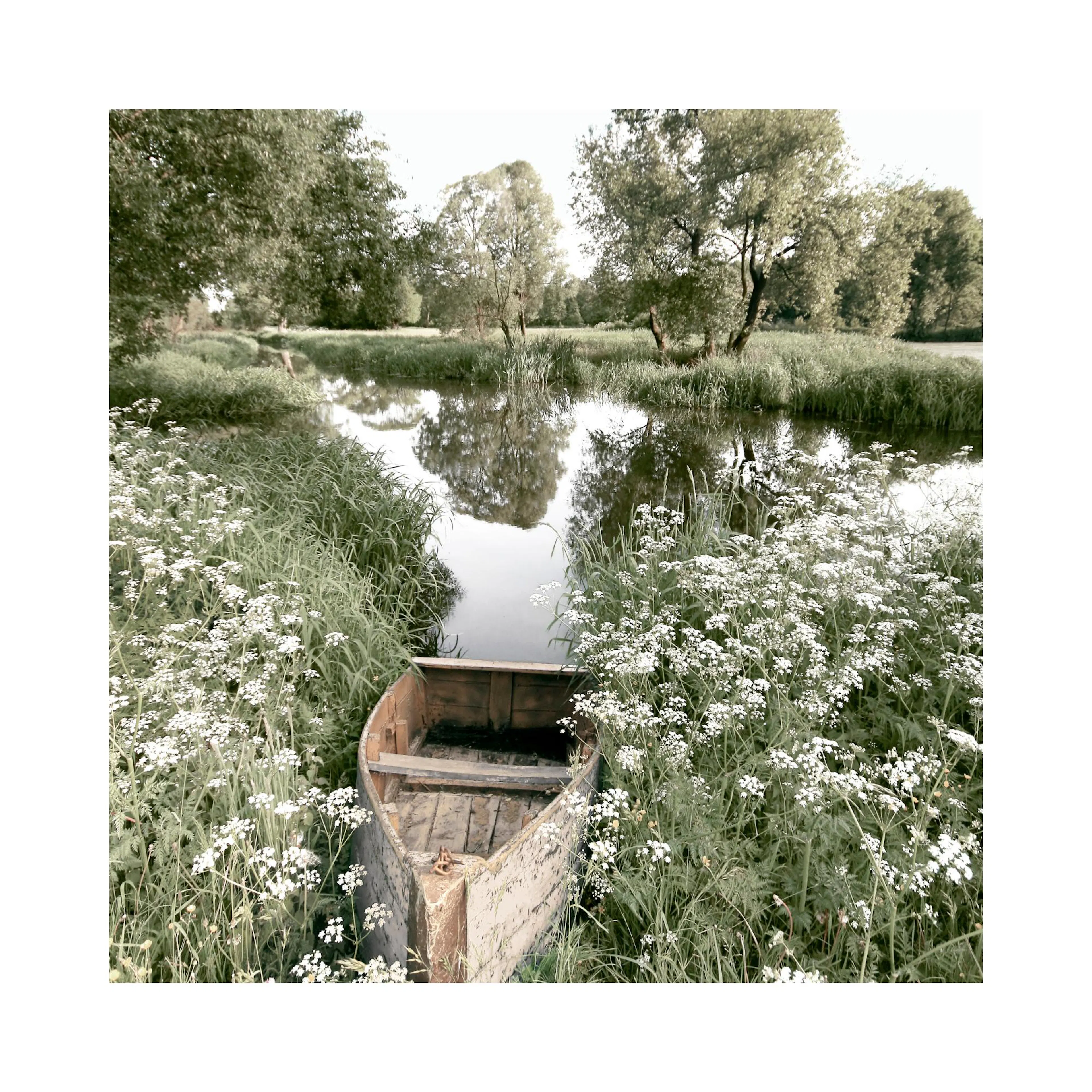 A poster featuring a rustic wooden boat nestled among white wildflowers, on the bank of a serene river with lush foliage.