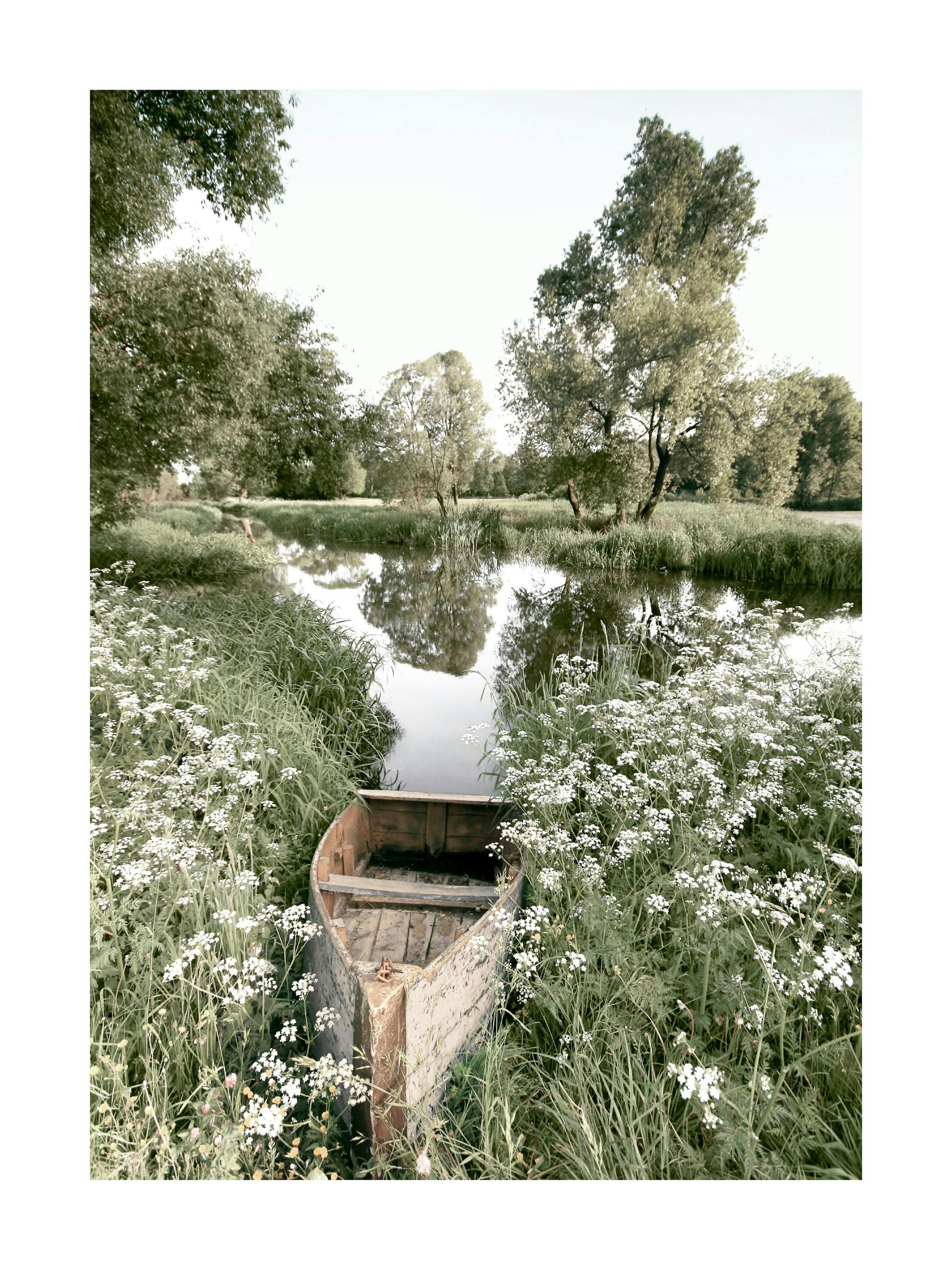 A serene poster showcasing an old wooden boat nestled among white wildflowers beside a calm river with reflections of trees.