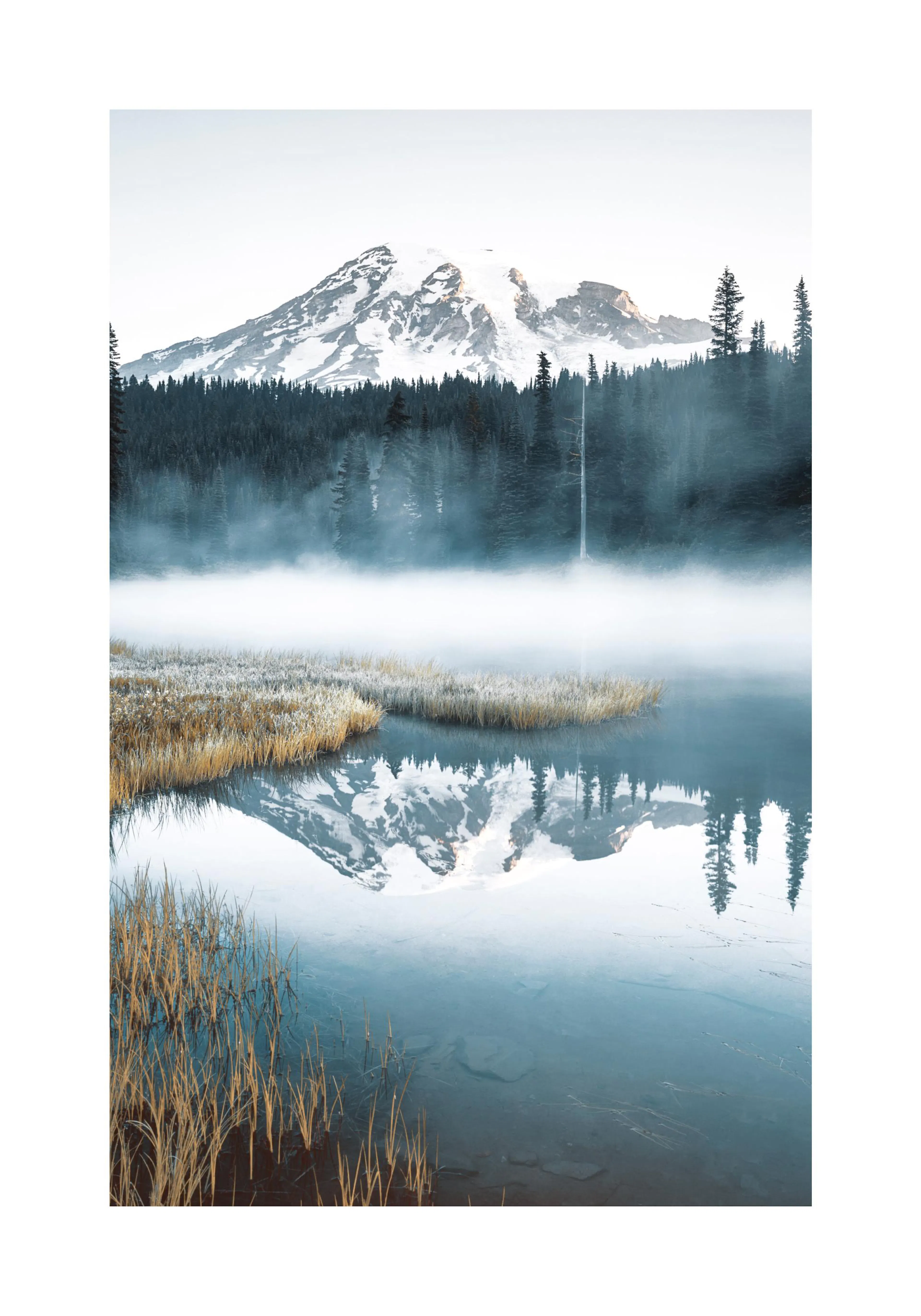 A poster featuring a snowy mountain and evergreen trees reflecting in a misty lake with golden grass in the foreground.