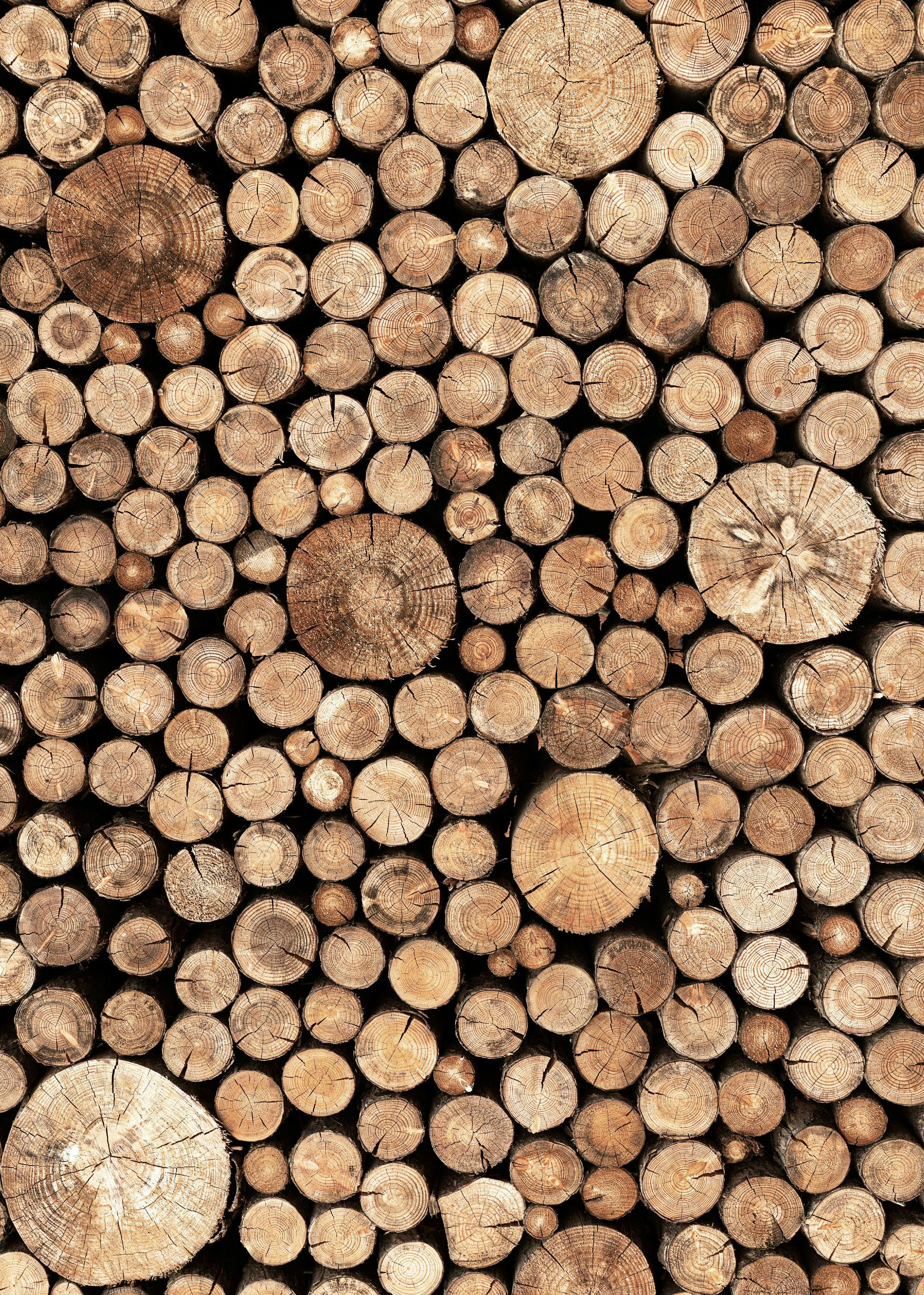 Poster de rondins de bois empilés, aux textures et anneaux de croissance visibles, créant un motif naturel.