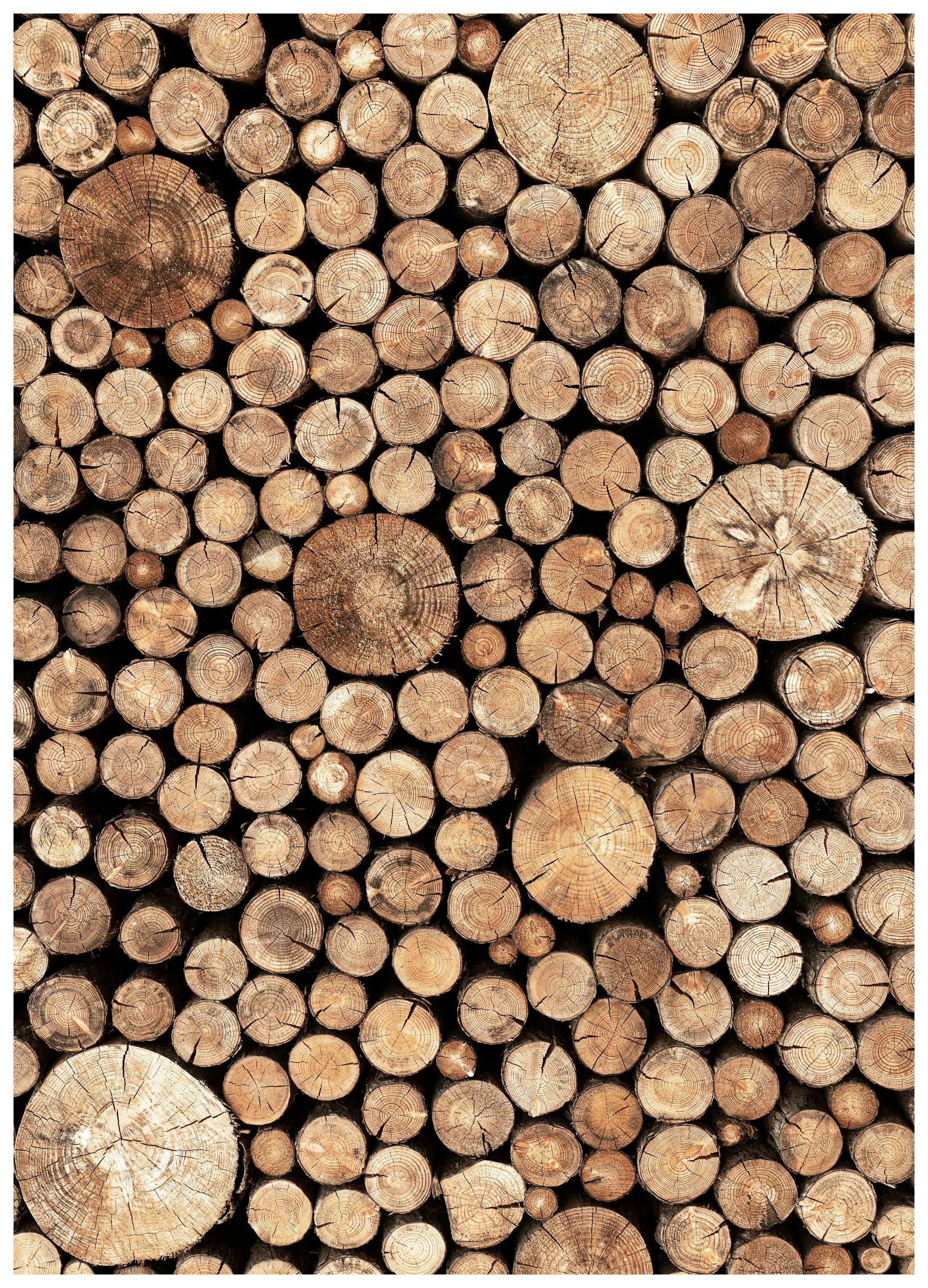 Prints Wood Logs Poster (21x30 cm) - Poster Store