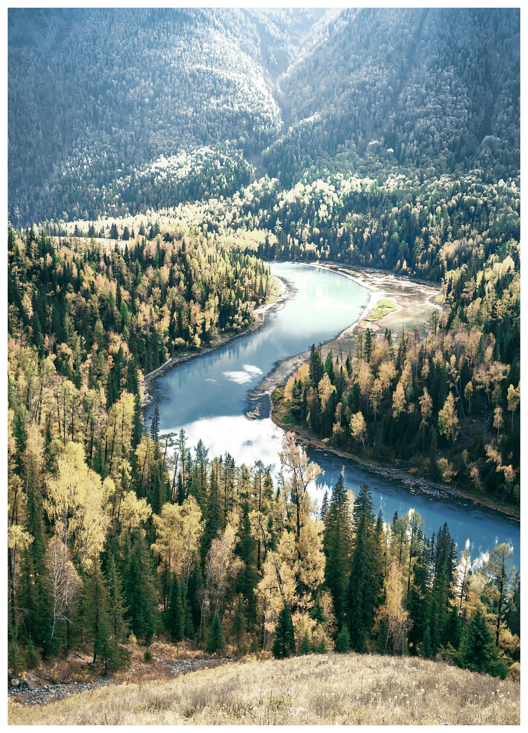 River Through the Woods Poster (30x40 cm) - Poster Store