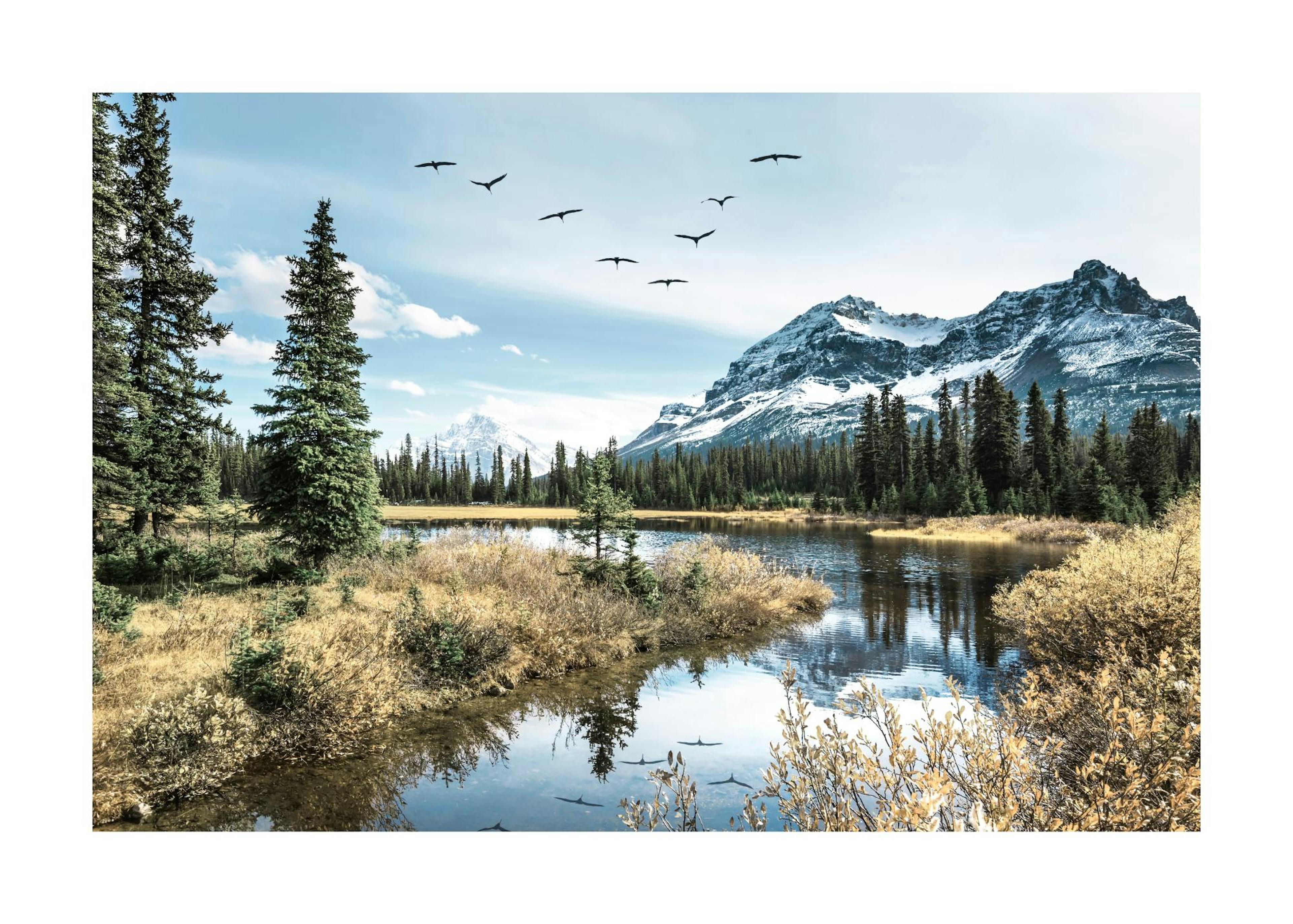 Mountain Birds Poster 0