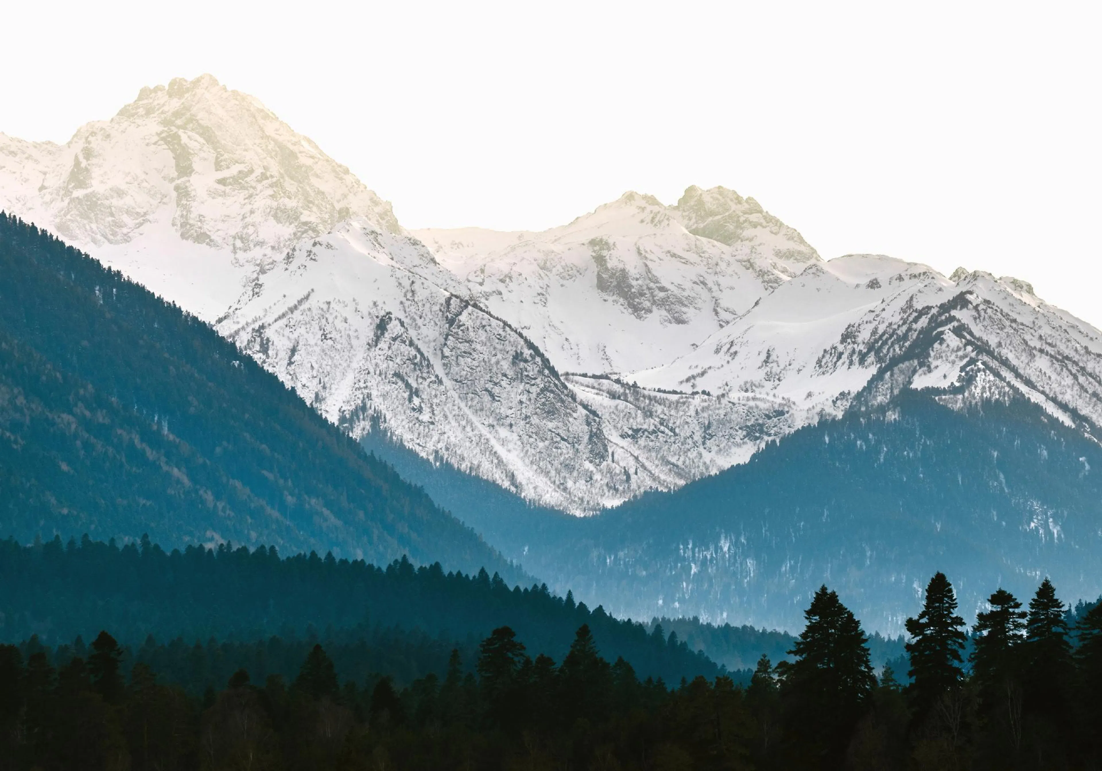 A poster featuring snow-capped mountains with dark blue and green pine forests in the foreground.