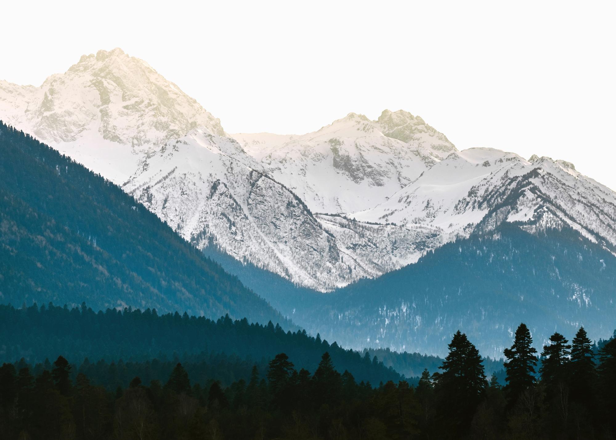 Blue Mountain Forest Mountain Poster | Poster Store US