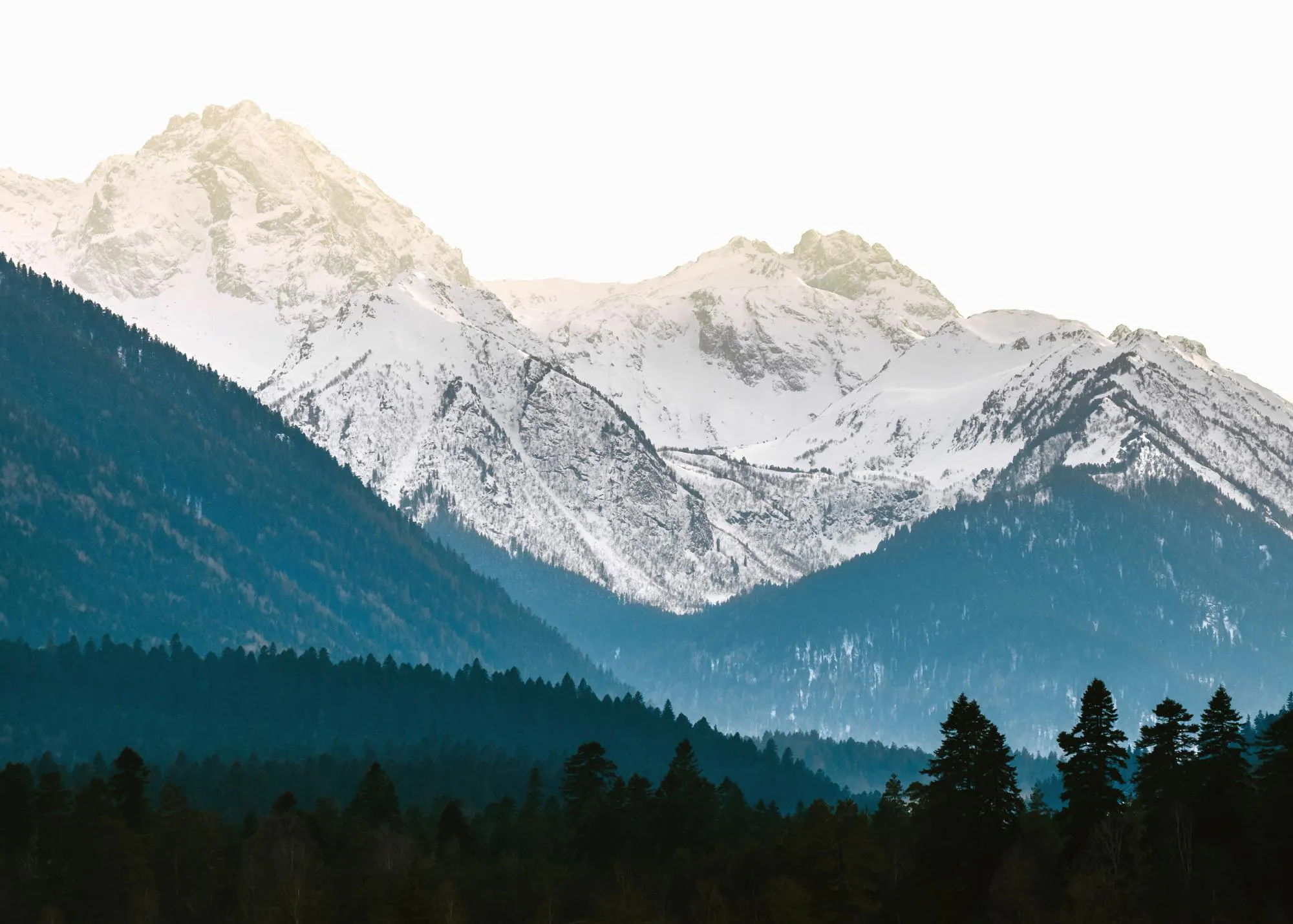 Vacker poster med snöklädda berg och mörkgröna skogslandskap i förgrunden.