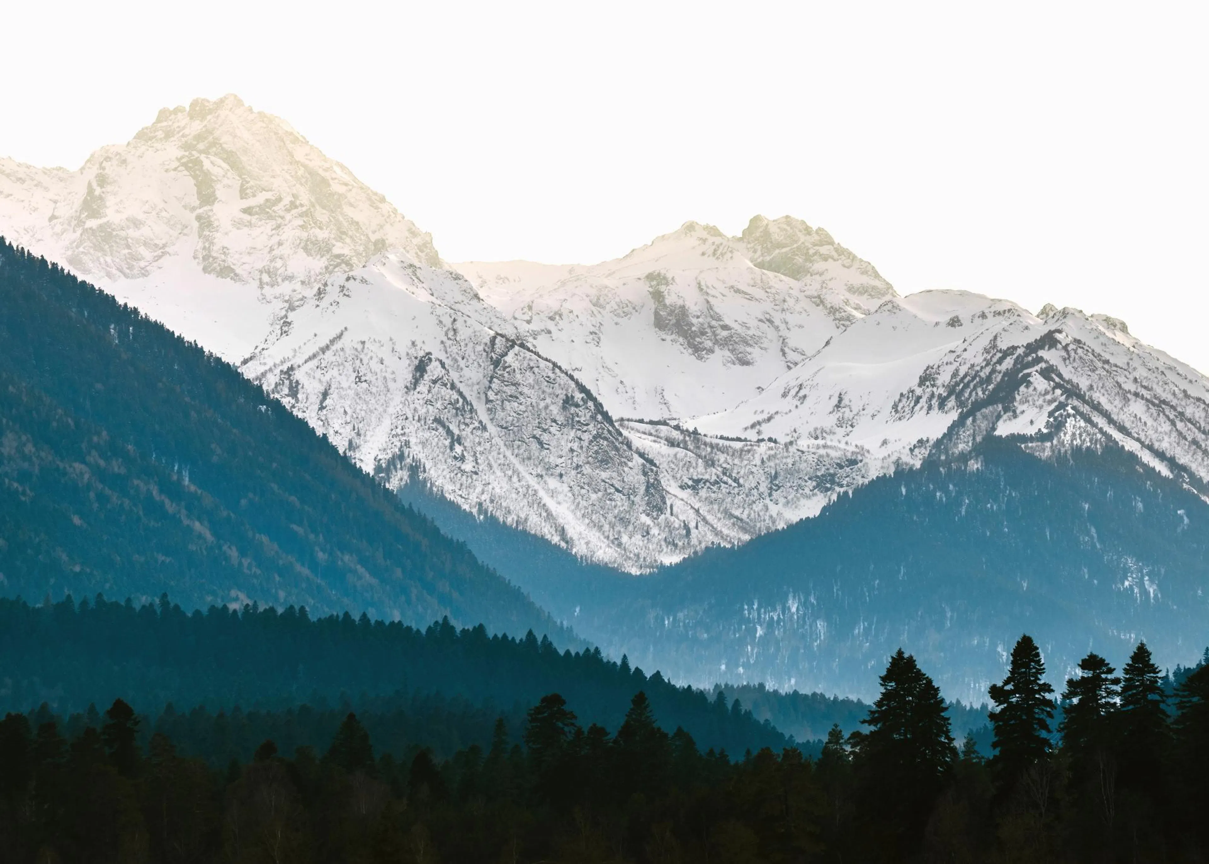 Vacker poster med snöklädda berg och mörkgröna skogslandskap i förgrunden.