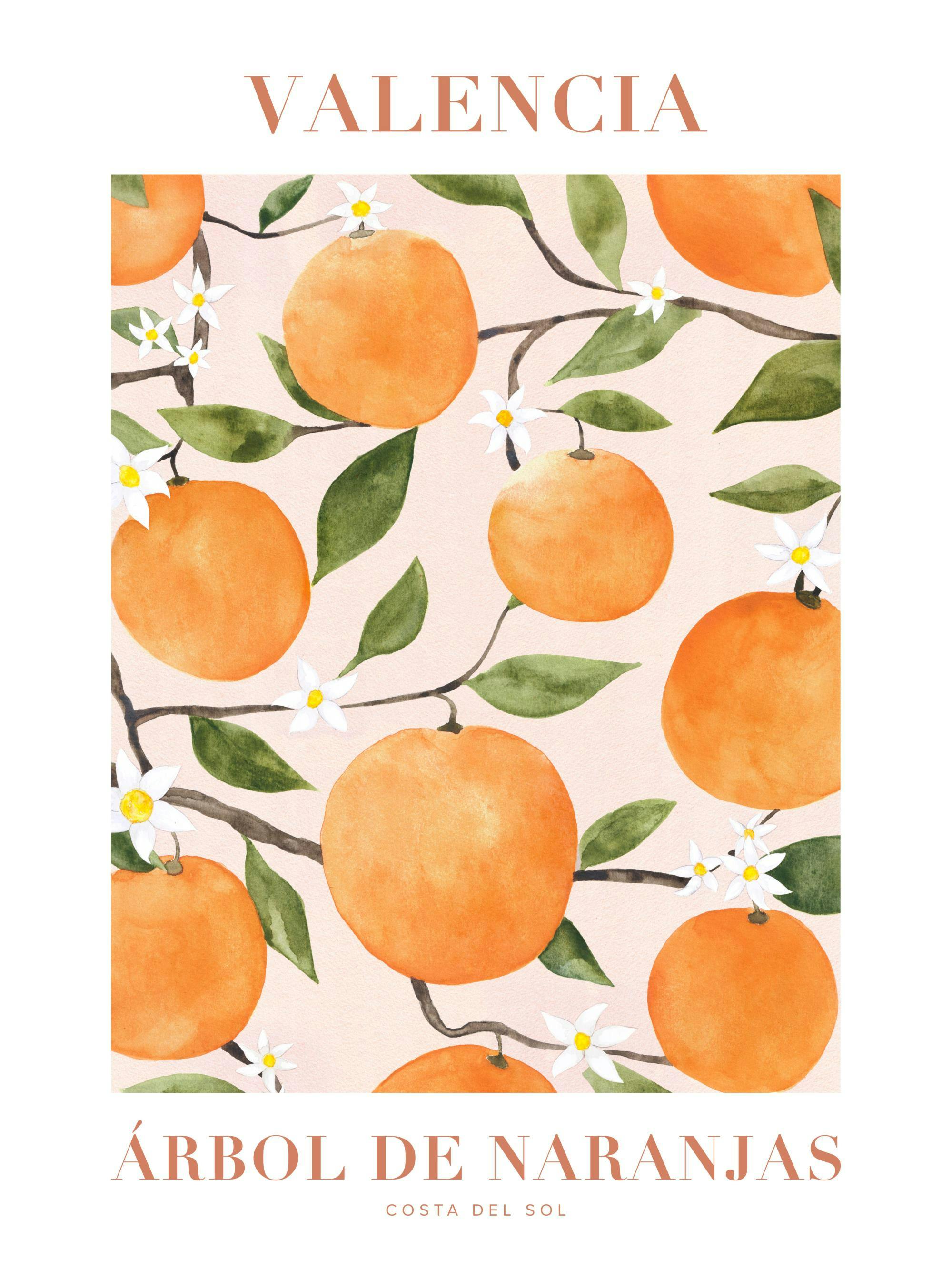 Plakat z wzorem pomarańczy z liśćmi i białymi kwiatami na gałęziach, na jasnoróżowym tle.