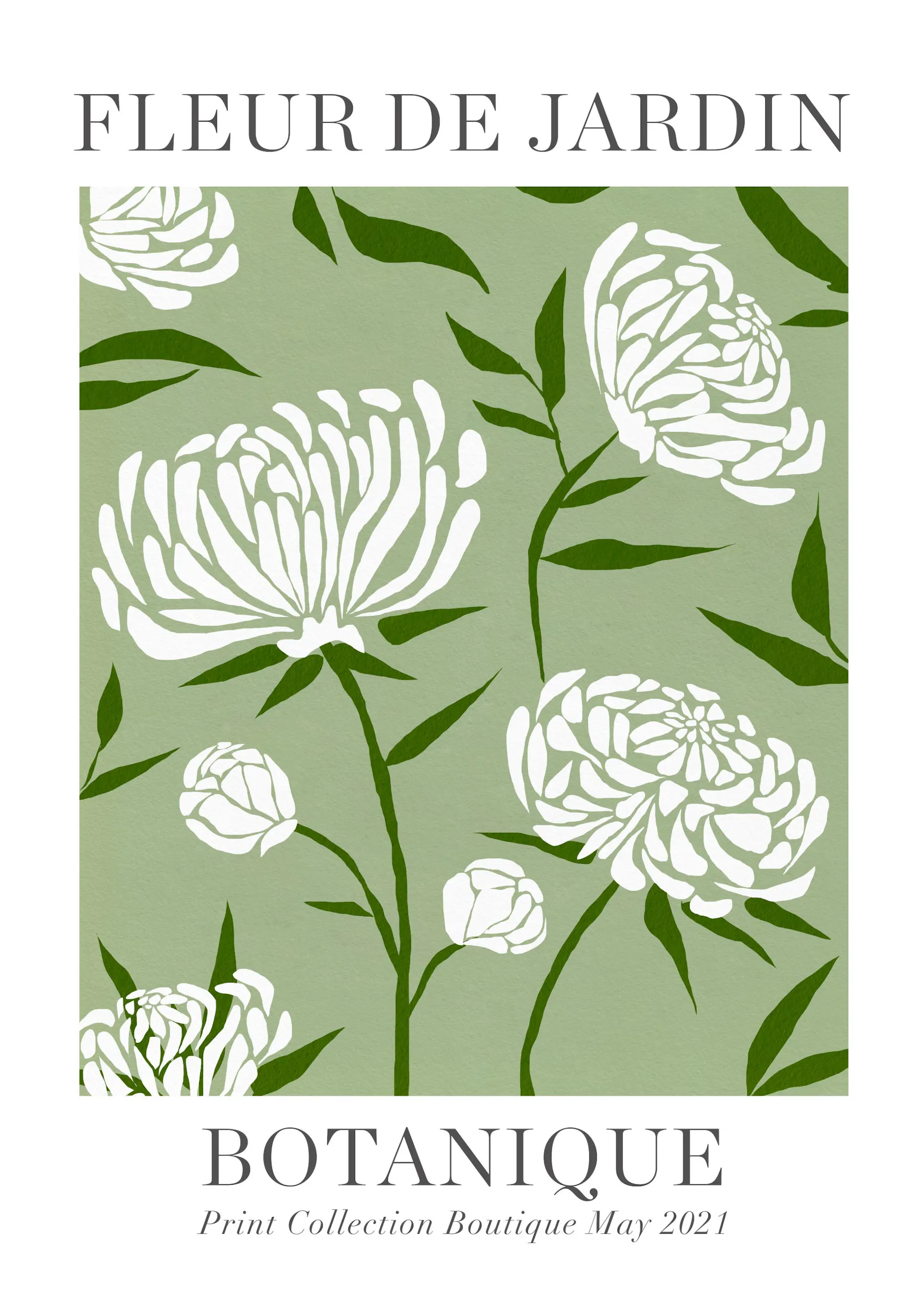 Botanical Pink Poppies Wall Art Poster Decor