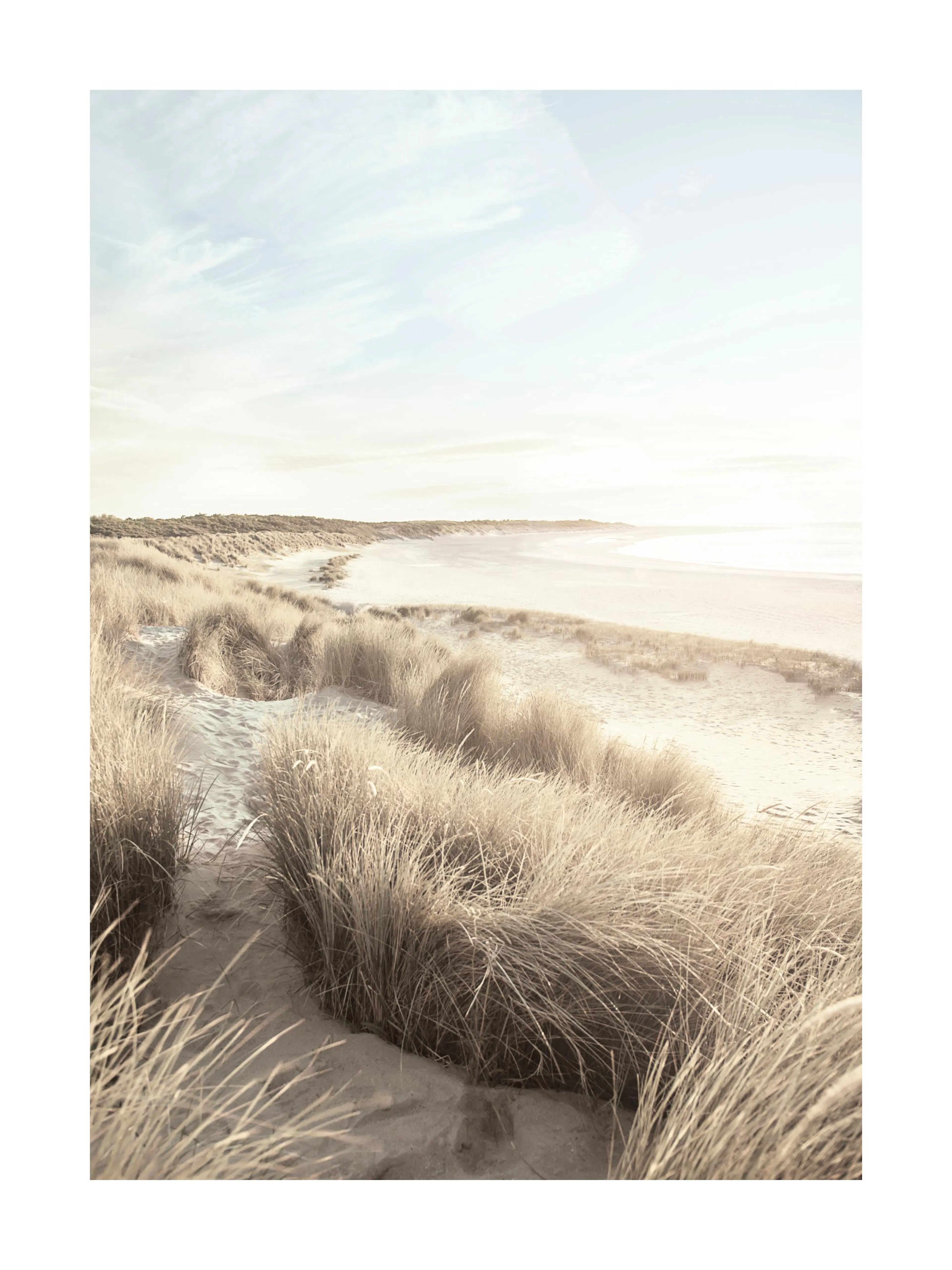 A poster featuring a calm beach scene with light sand dunes and tall grass under a bright sky.