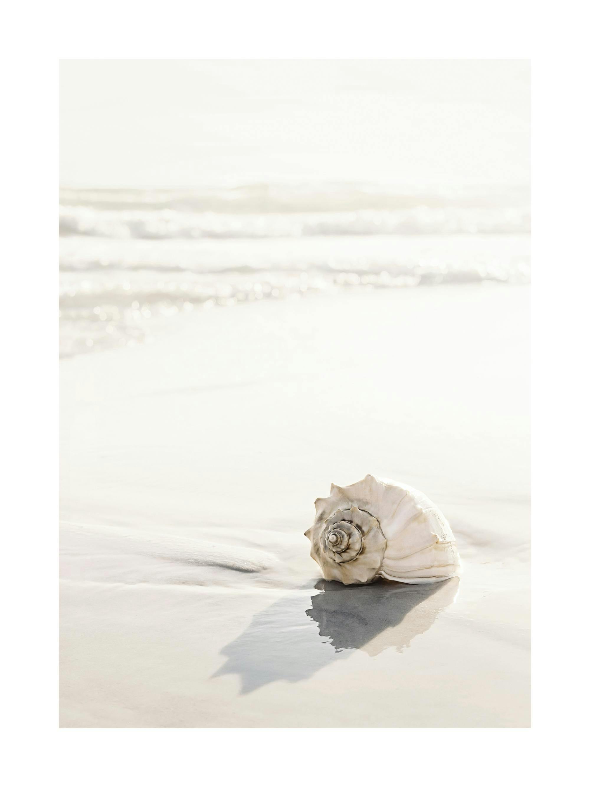 Een poster van een beige spiraalvormige schelp op een zandstrand bij de zee, met lichte golven op de achtergrond.