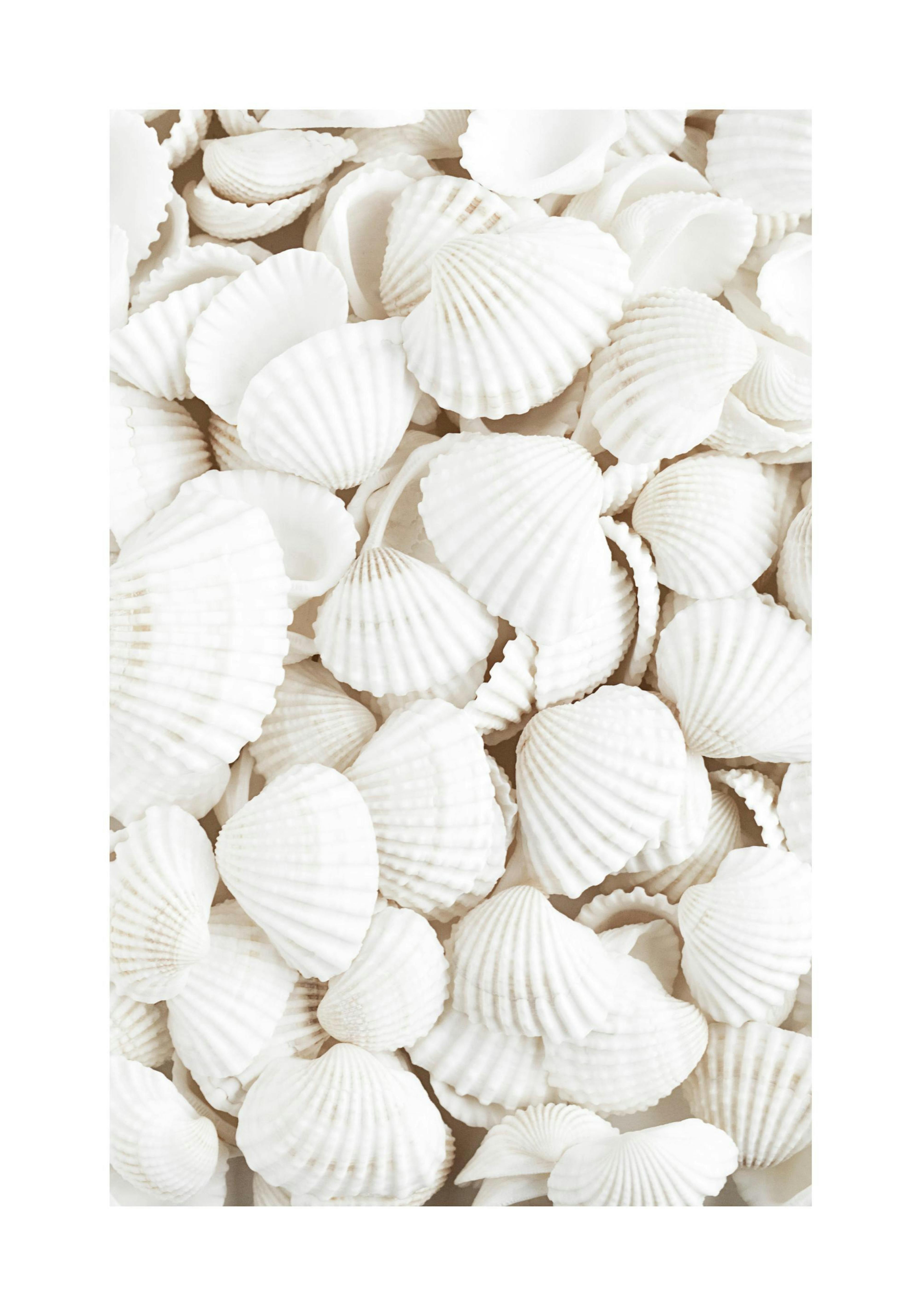 Product image: 1
