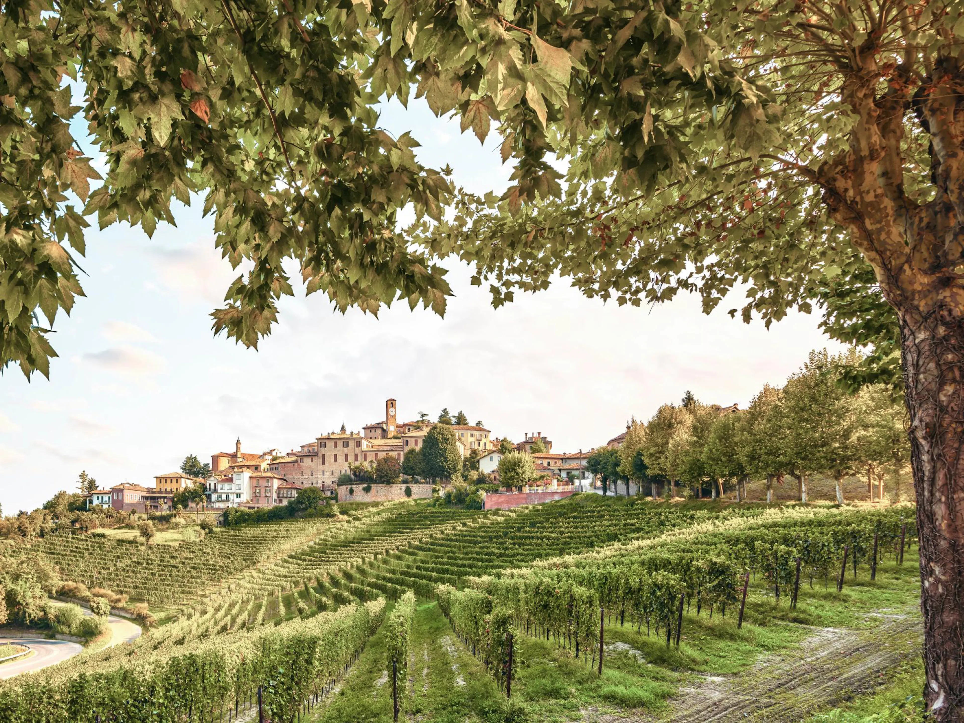 Poster dun village italien historique sur une colline, entouré de vignobles luxuriants sous un ciel clair.