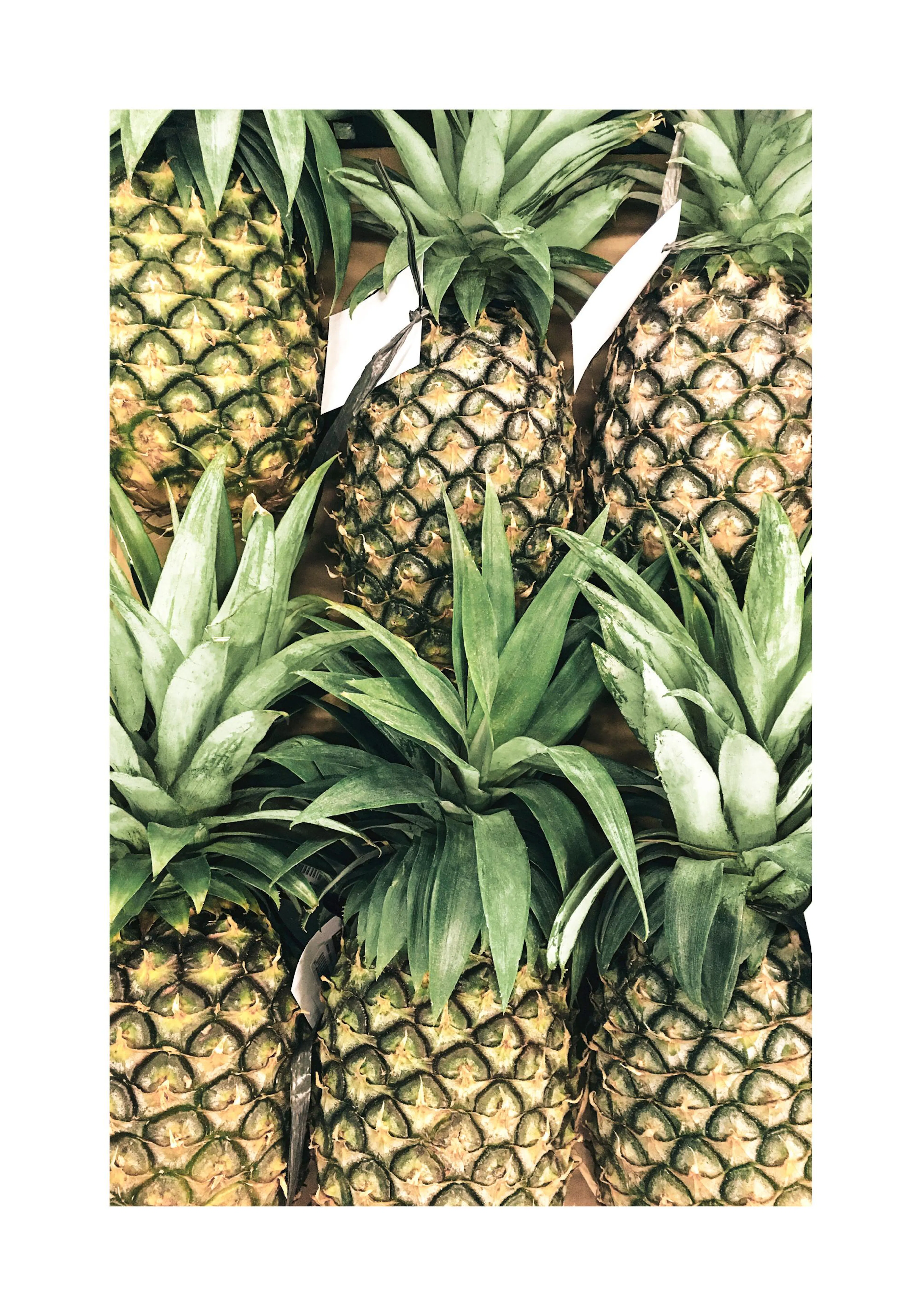 En poster som visar en hög med ananas, med gröna blad och gula skal.