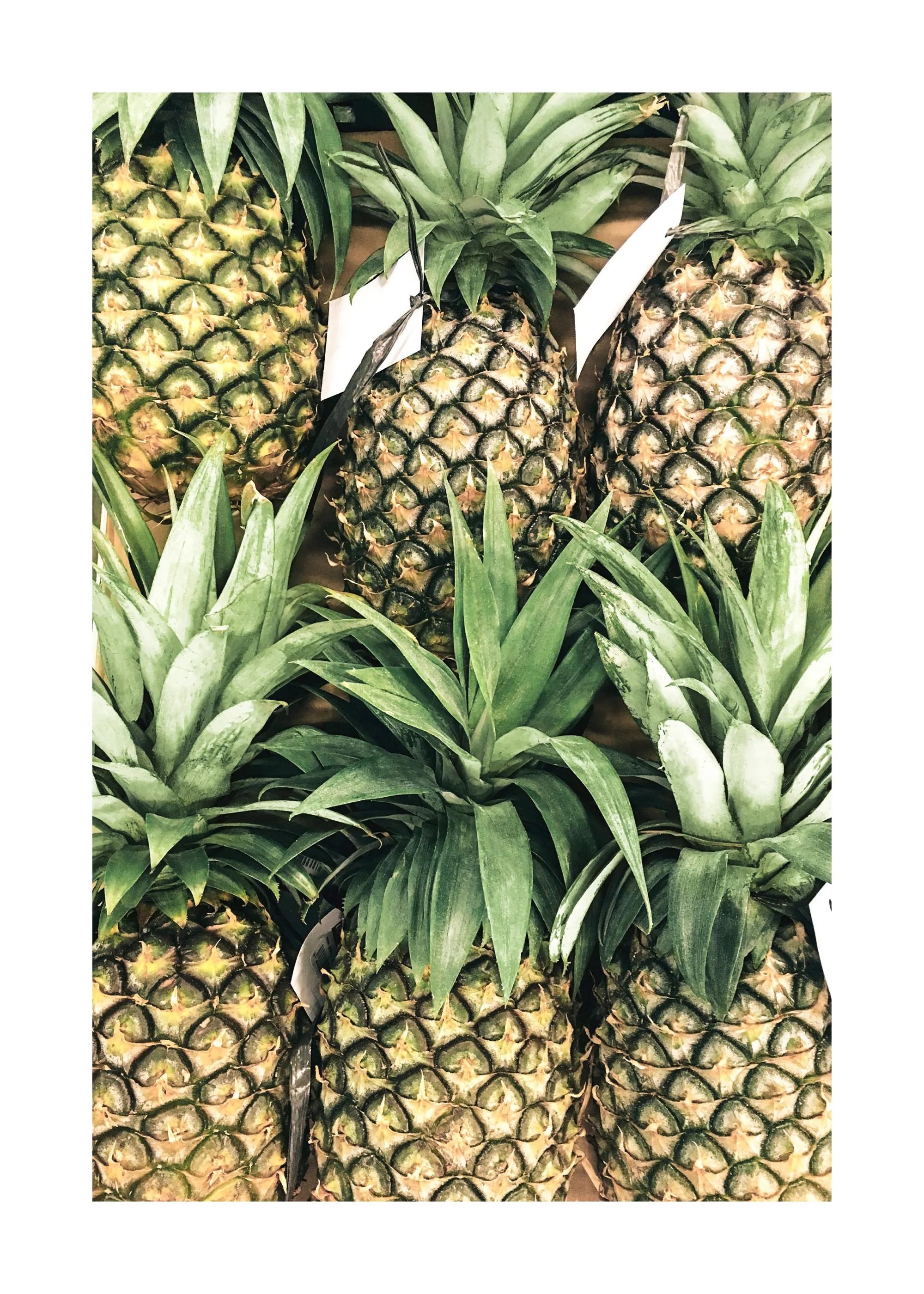 Poster mit einer Nahaufnahme von mehreren Ananas mit grünen Blättern und gelb-grüner Schale.