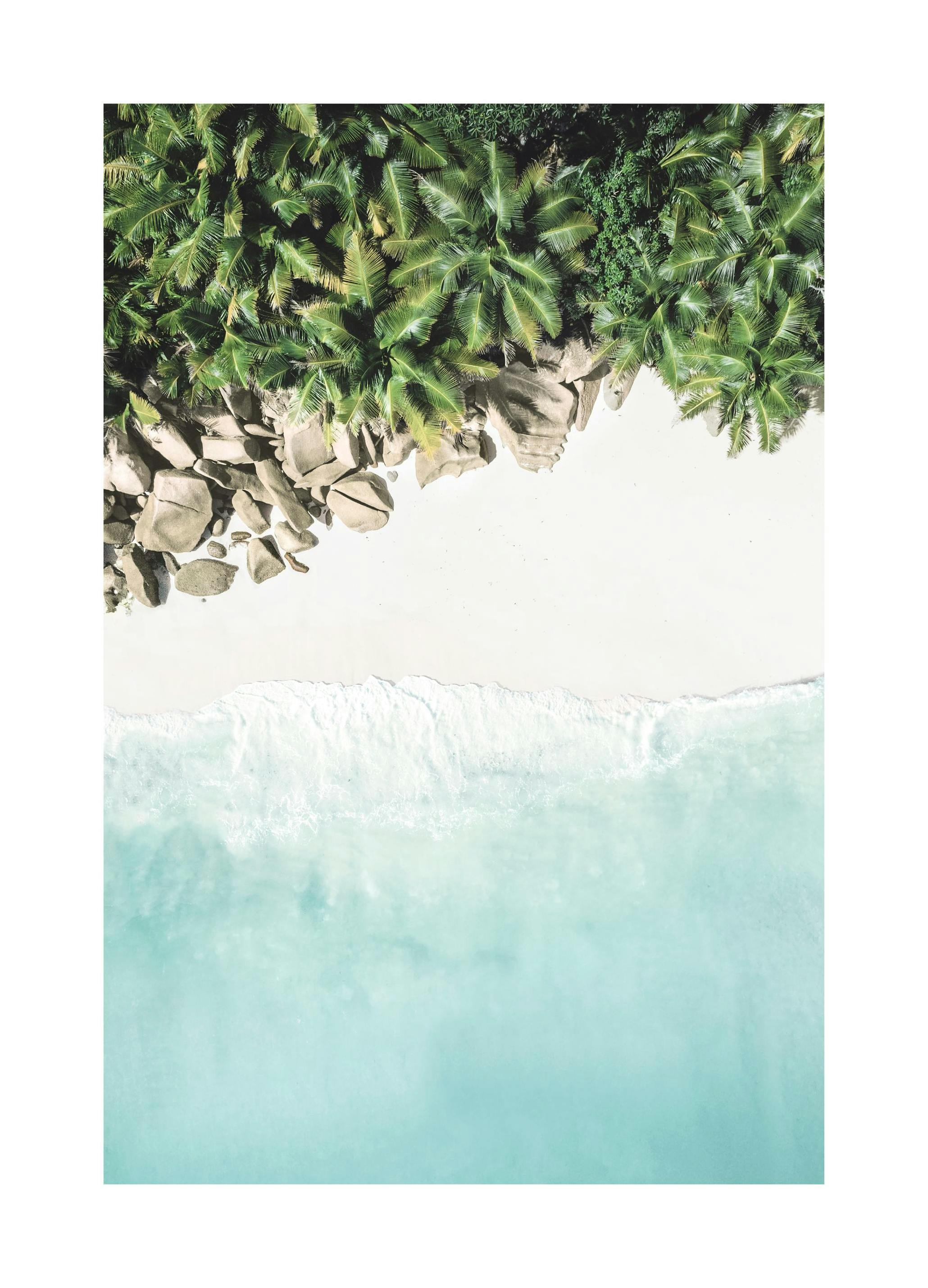 Caribbean Beach Poster (21x30 cm) - Poster Store