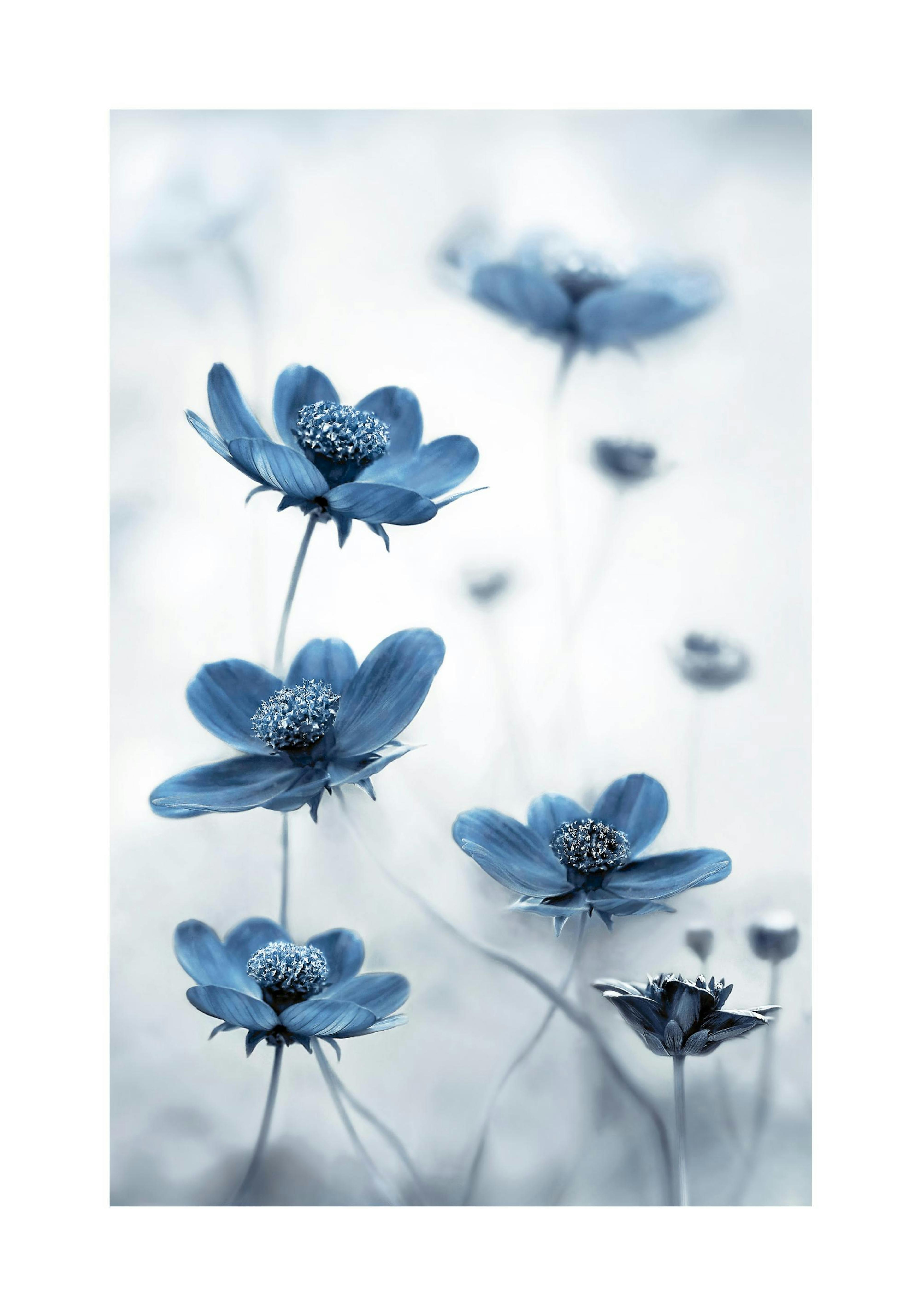 Product image: 1