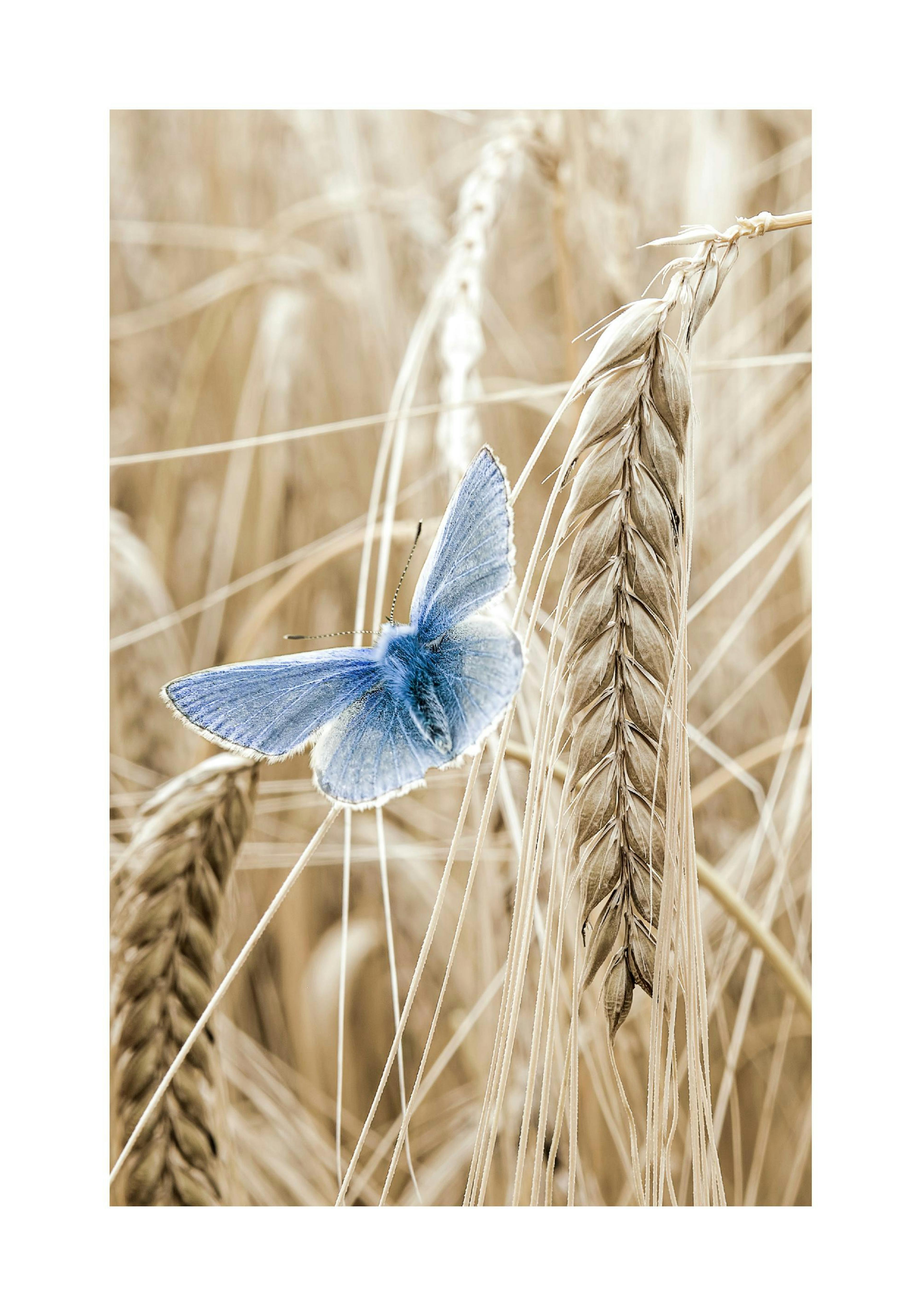 Product image: 1