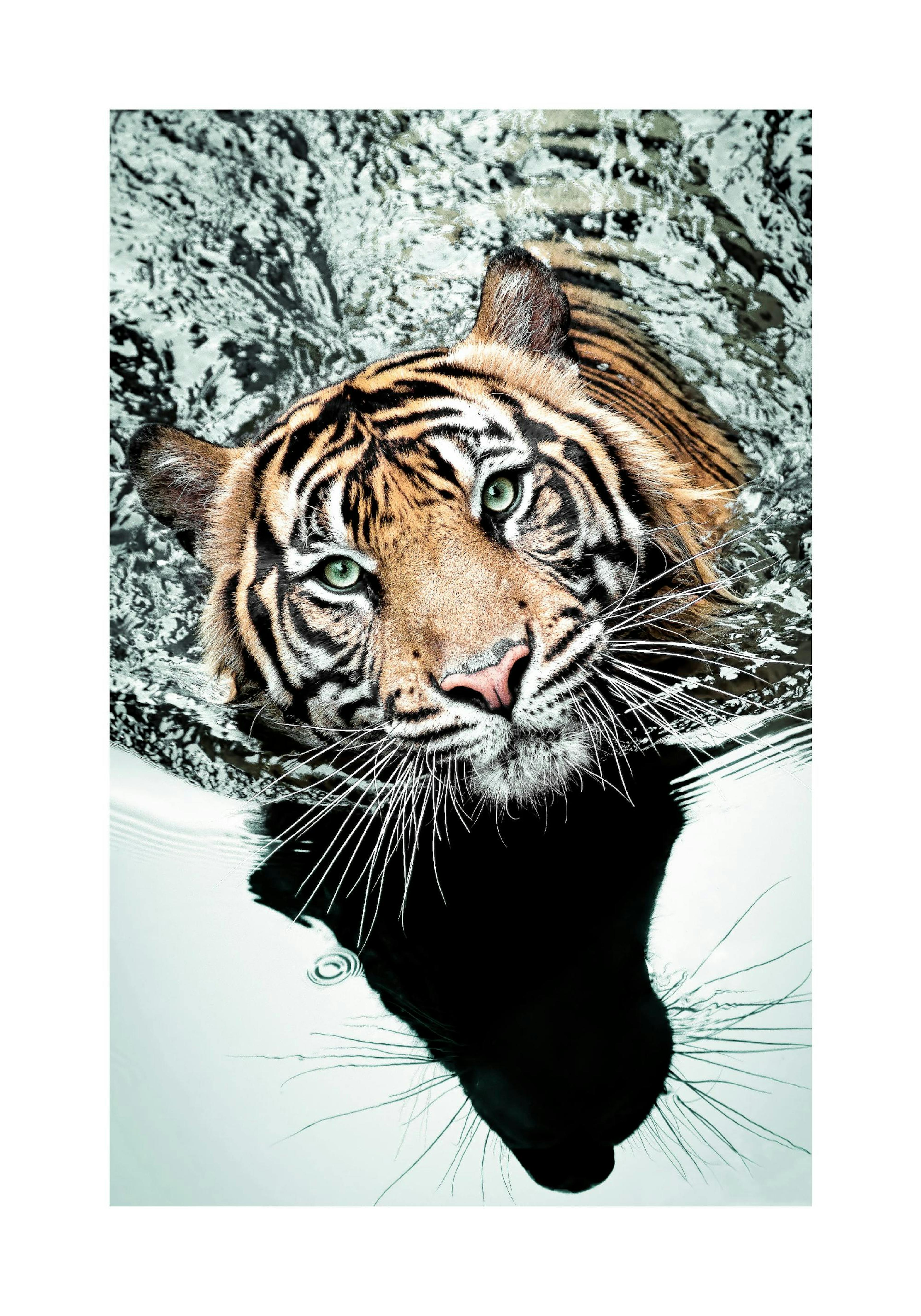 Product image: 1