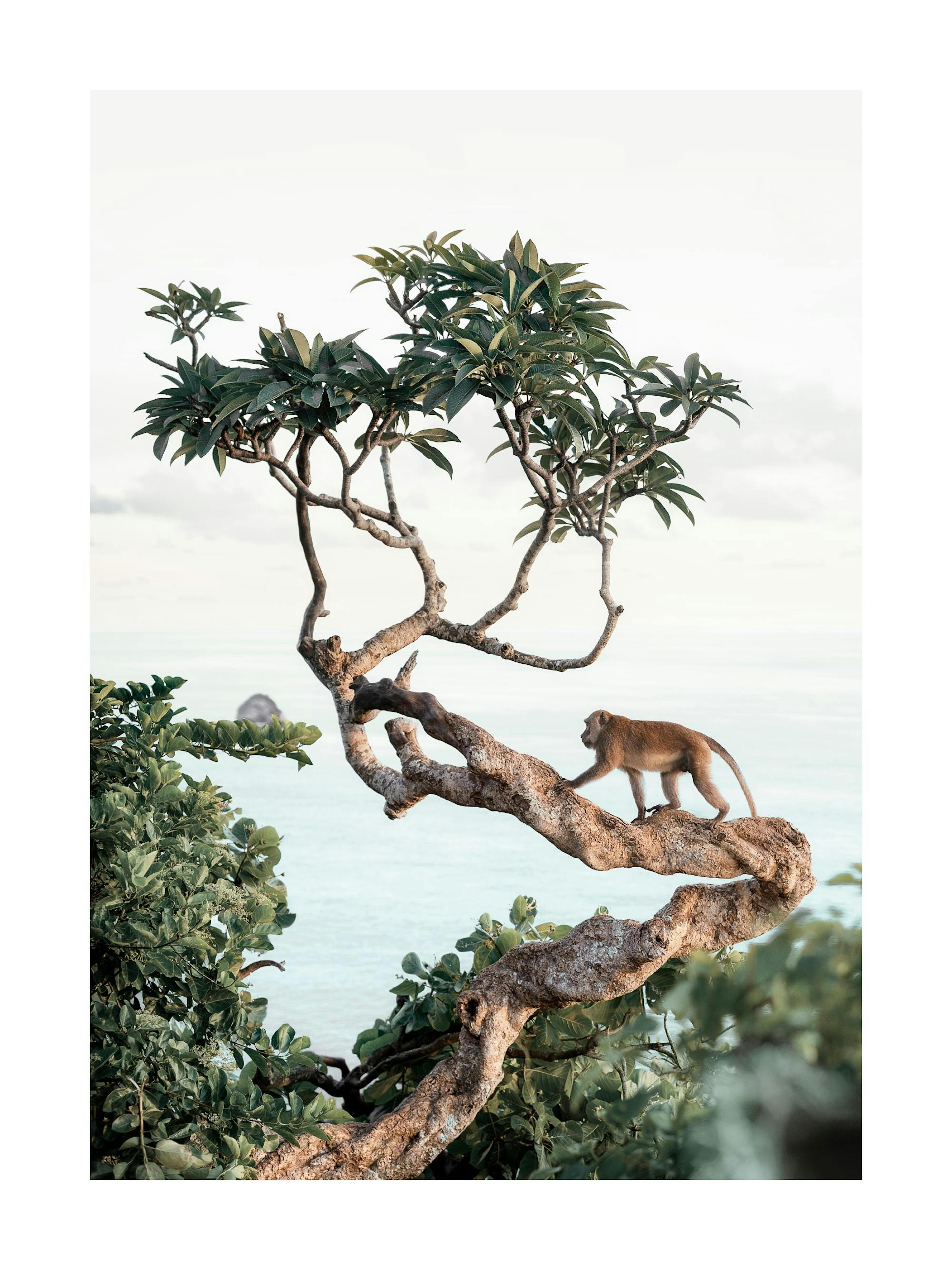 A poster featuring a monkey on a tree branch overlooking the ocean with a rocky island in the distance.