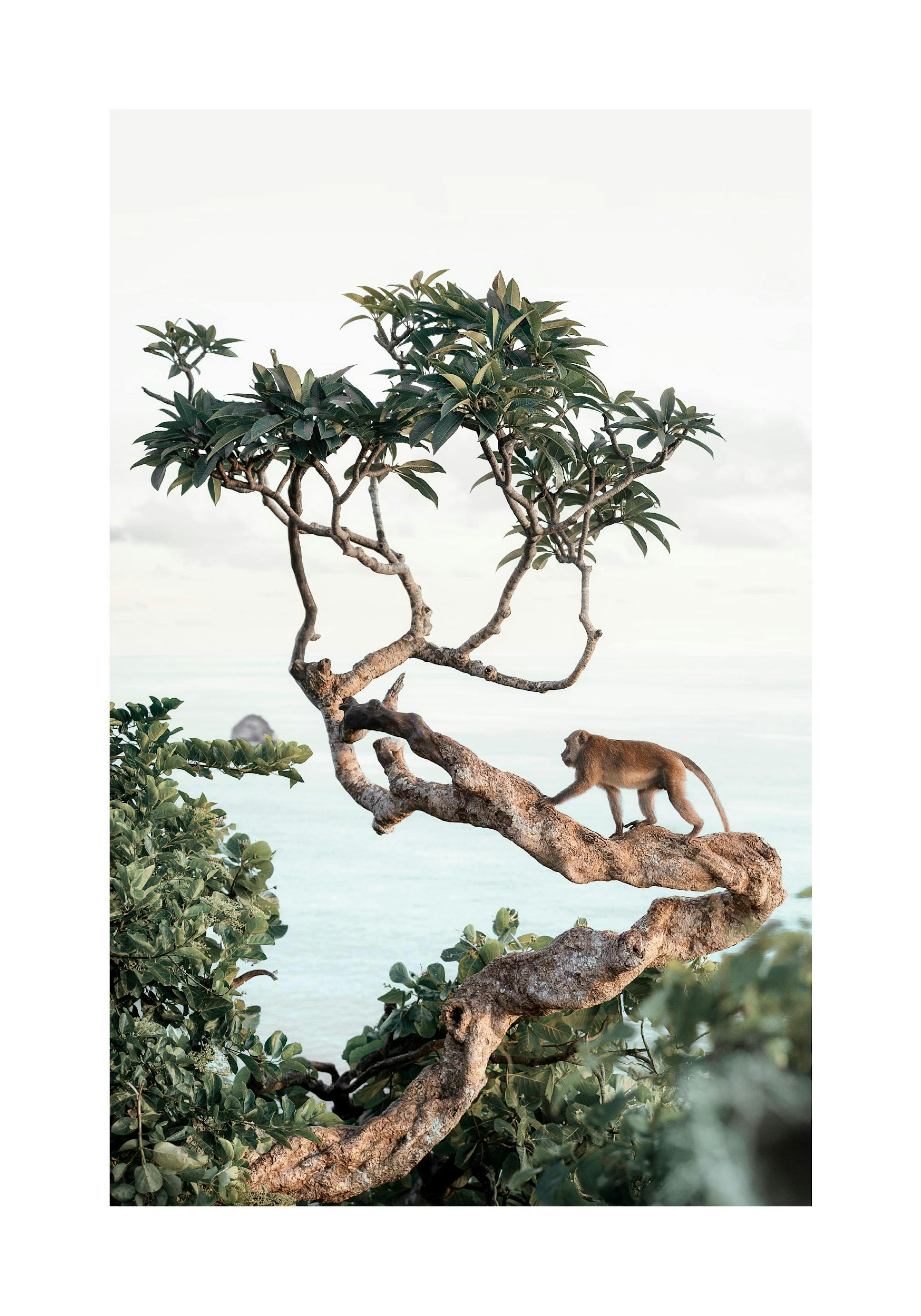 Product image: 1