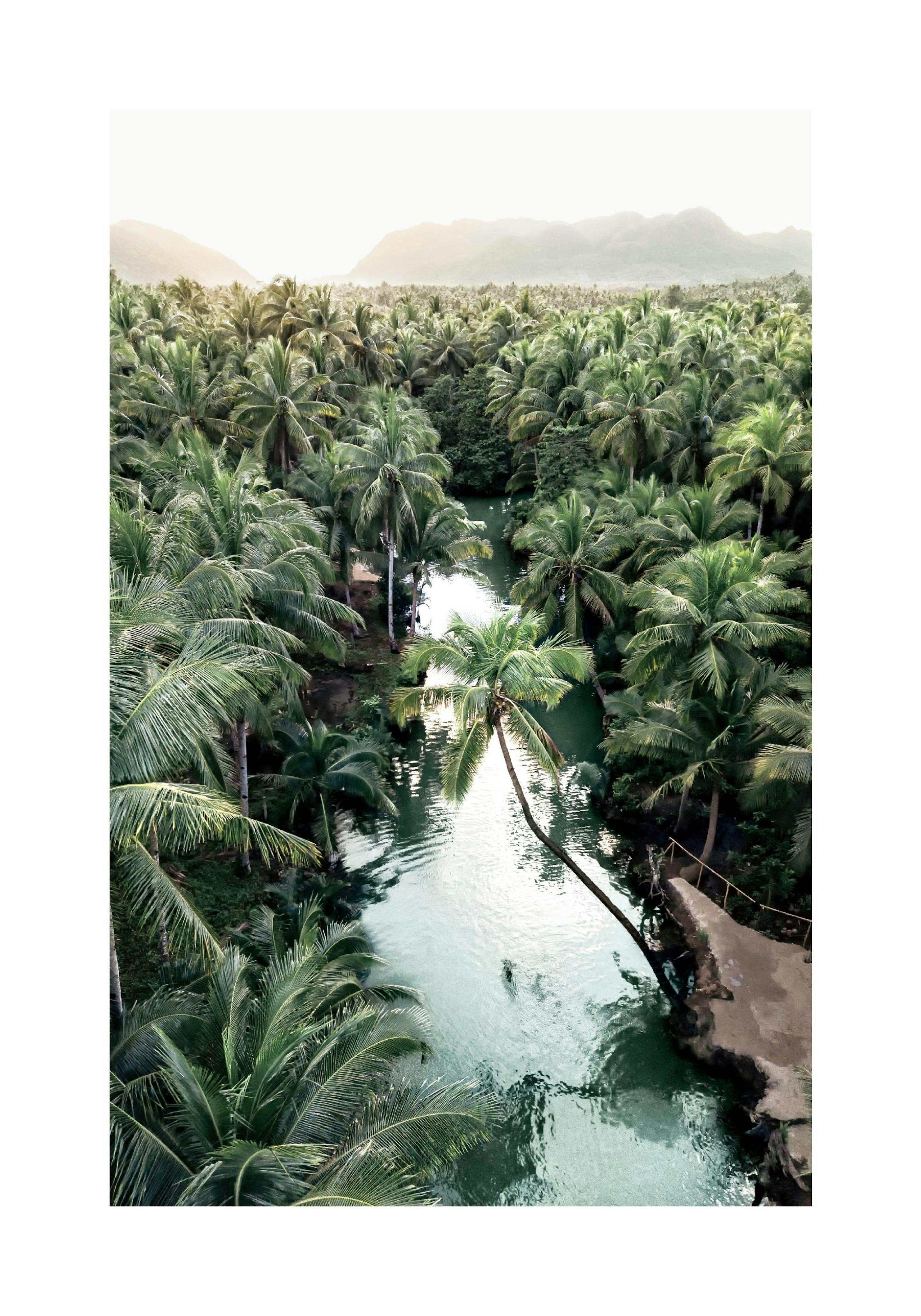 Product image: 1