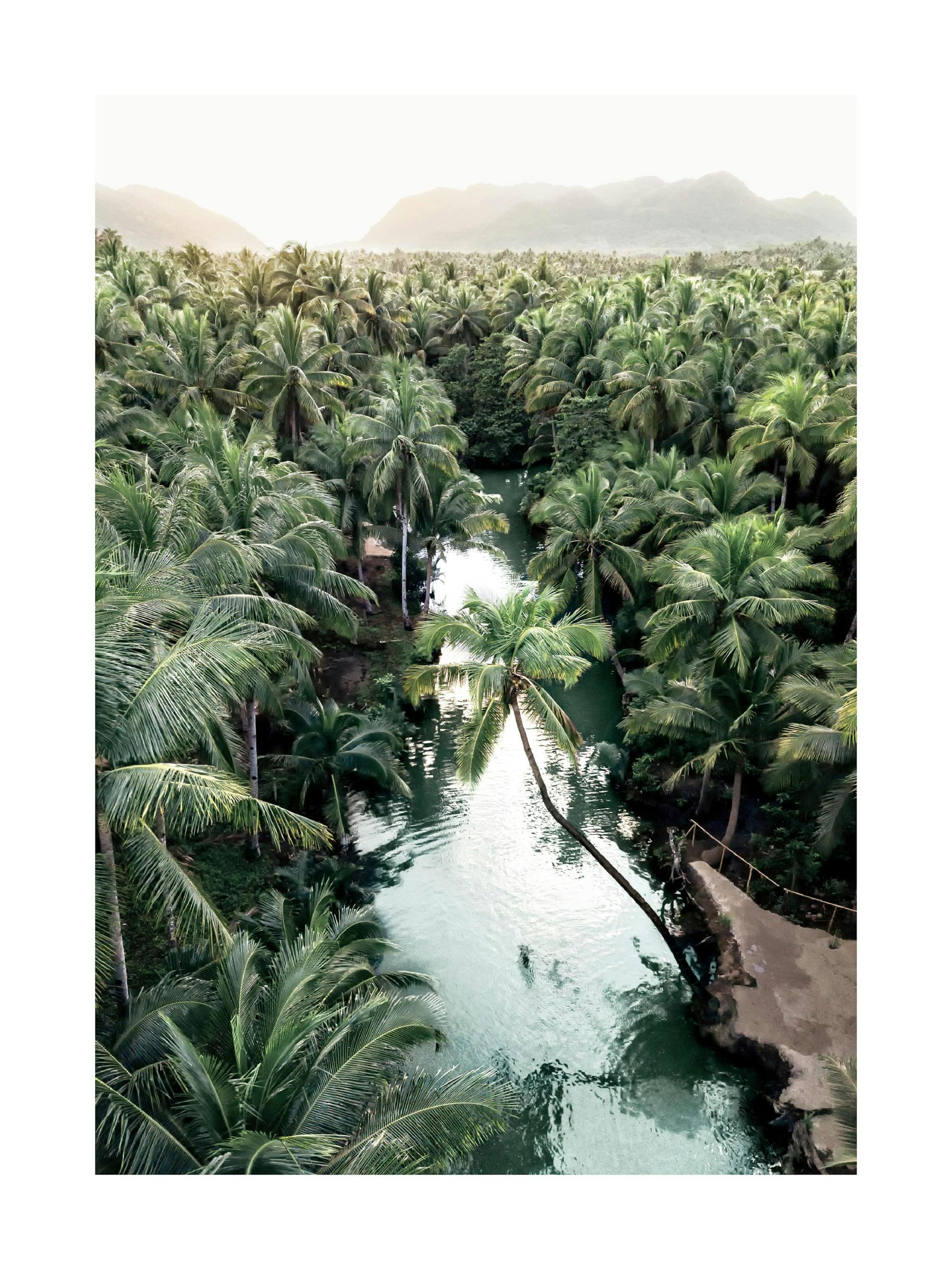 Ein Poster eines Flusses, der durch einen üppigen Dschungel mit Palmen, Bergen und einem klaren Himmel fließt.