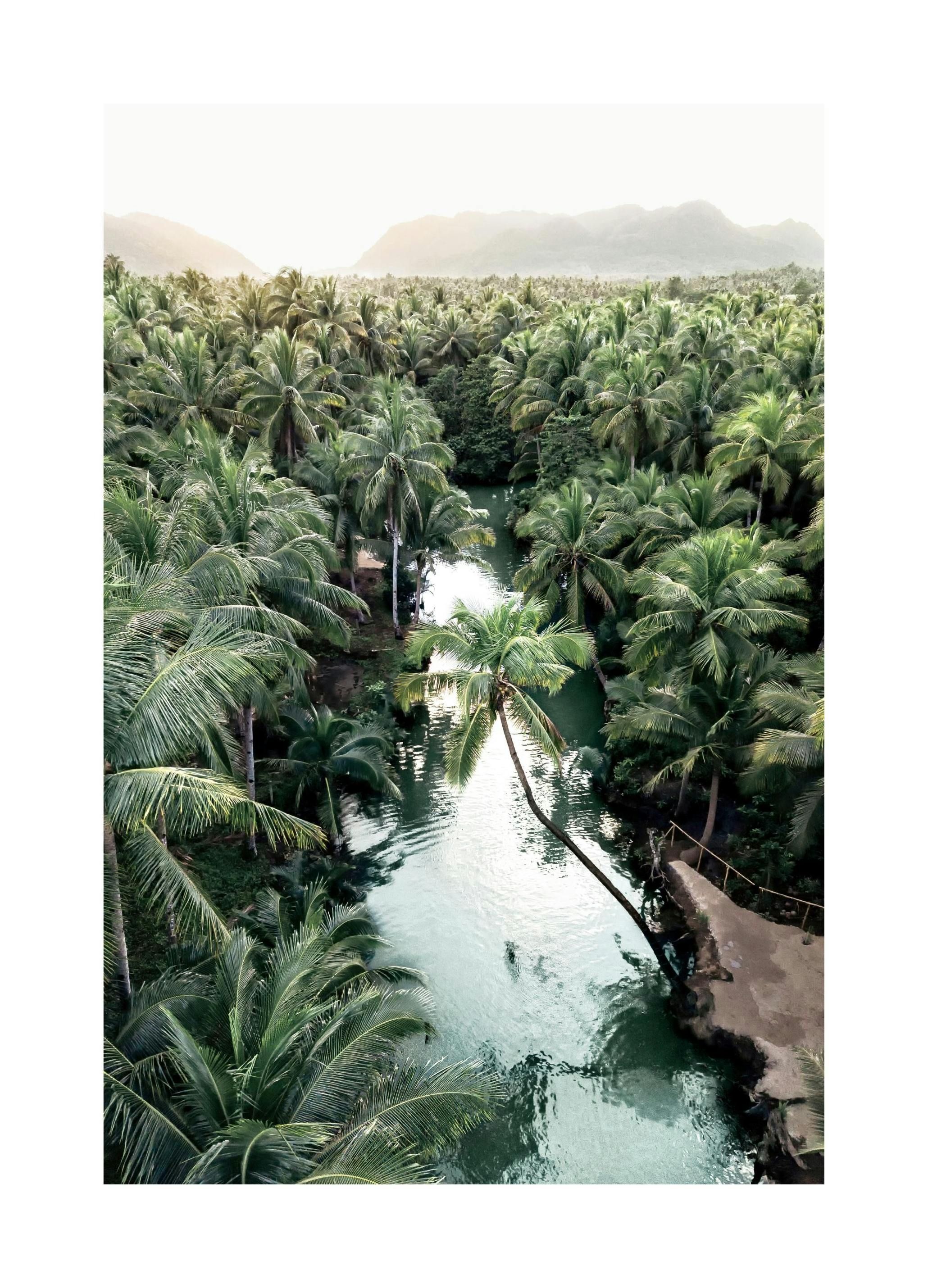 Palm Djungel Poster (50x70 cm) - Poster Store