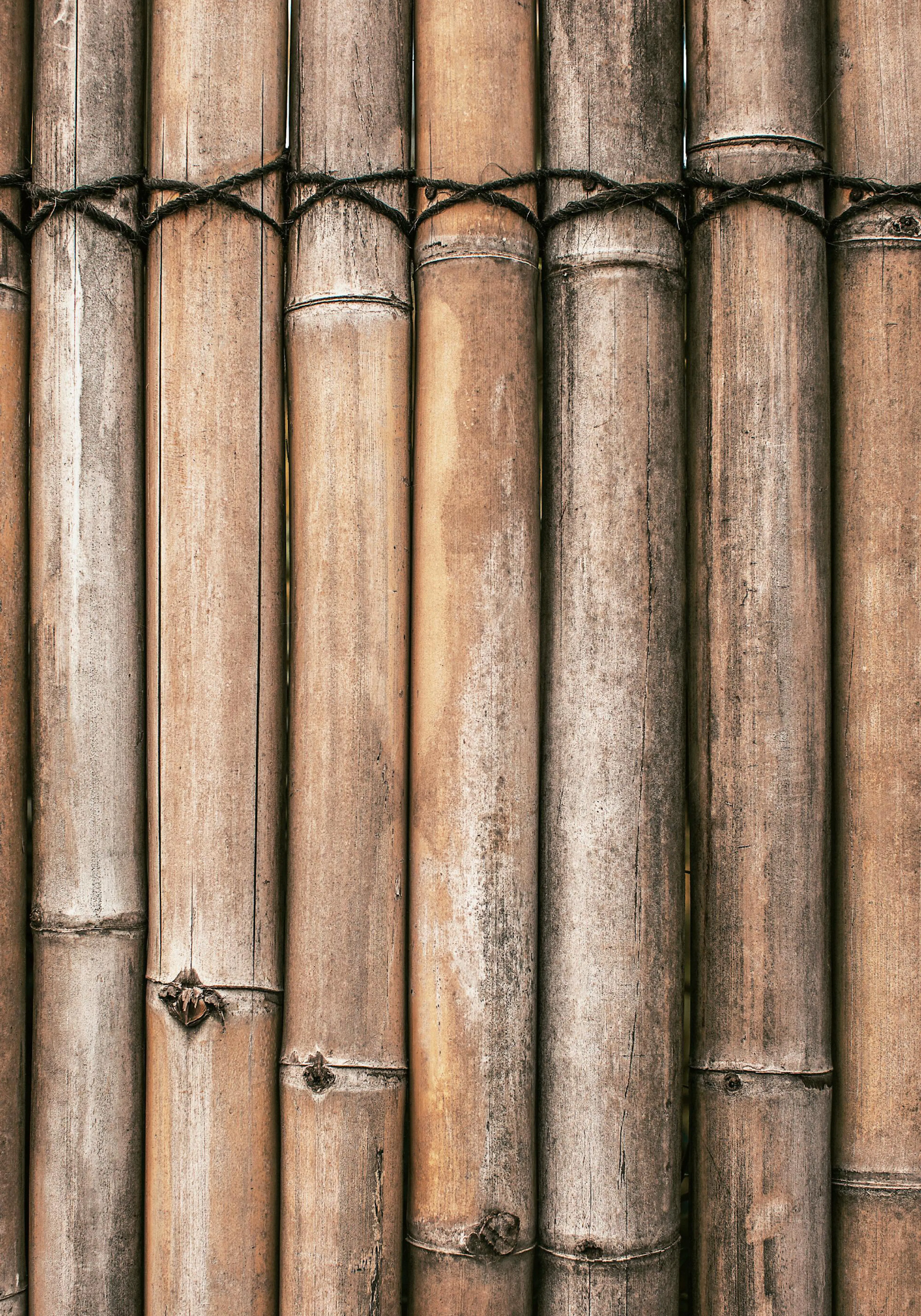 A poster featuring a close-up of aged, light brown bamboo poles tied together with dark rope.