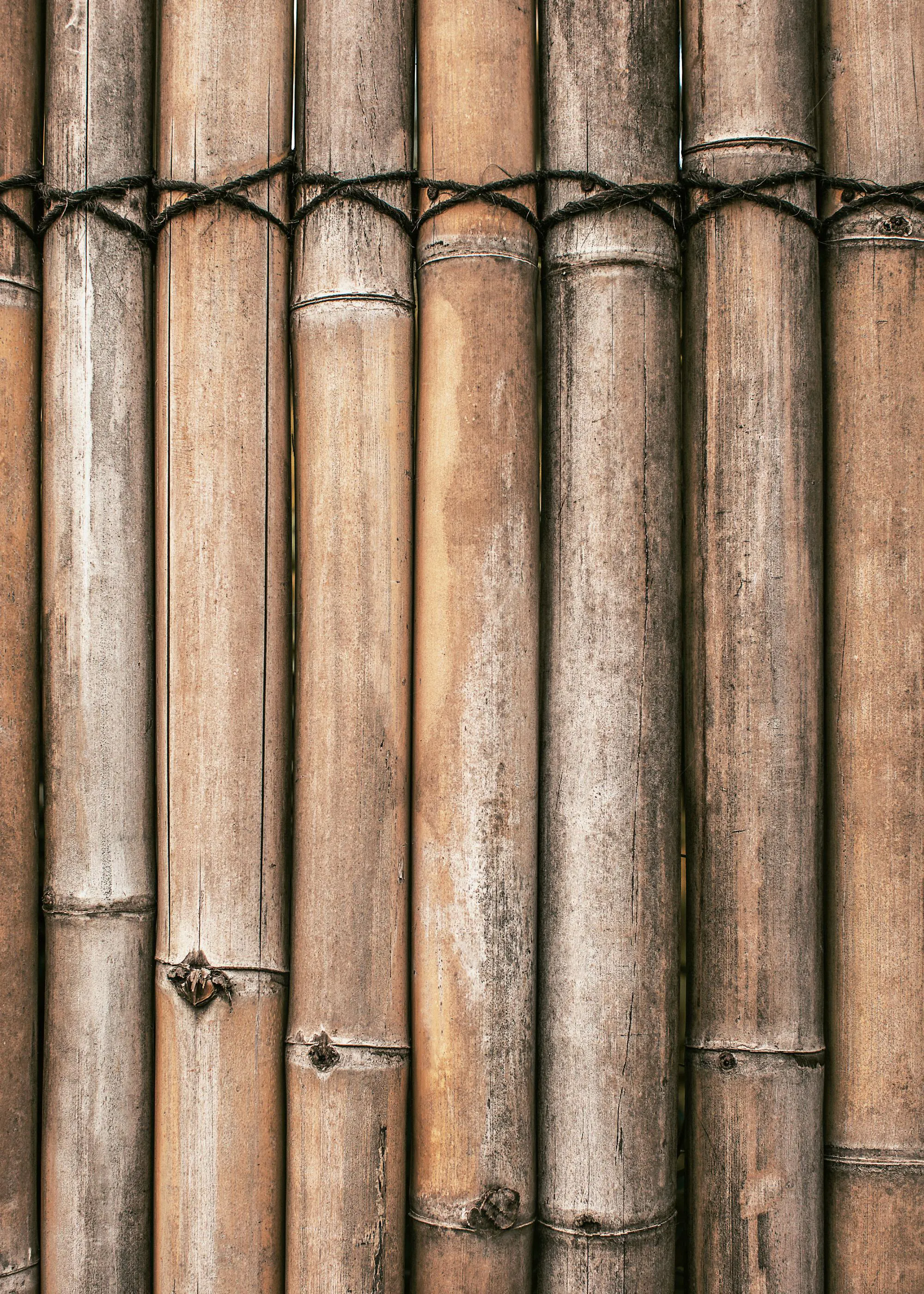 Poster mit einer Nahaufnahme von vertikalen Bambusstangen, die mit Seil zusammengebunden sind.