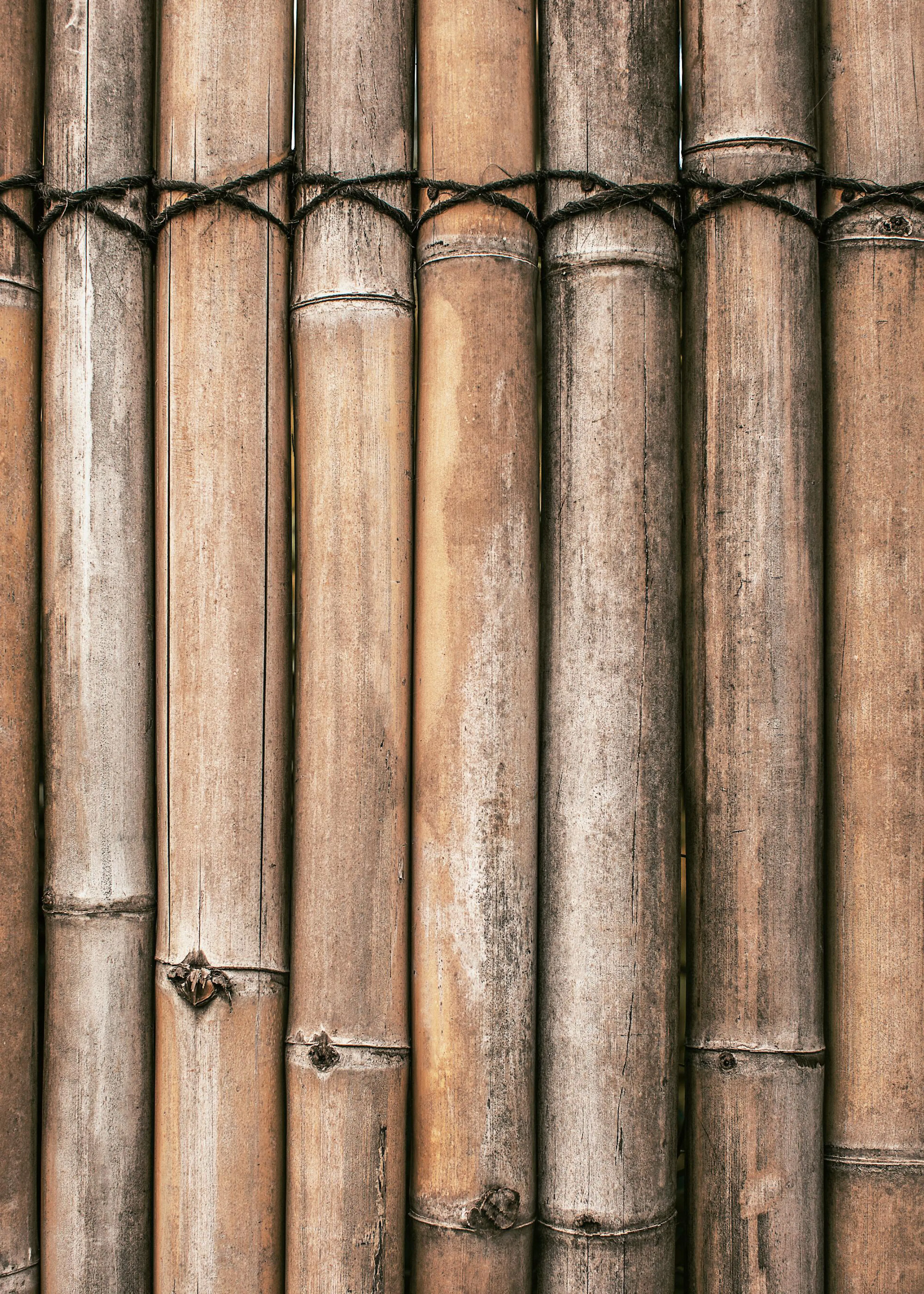 Poster mit einer Nahaufnahme von vertikalen Bambusstangen, die mit Seil zusammengebunden sind.