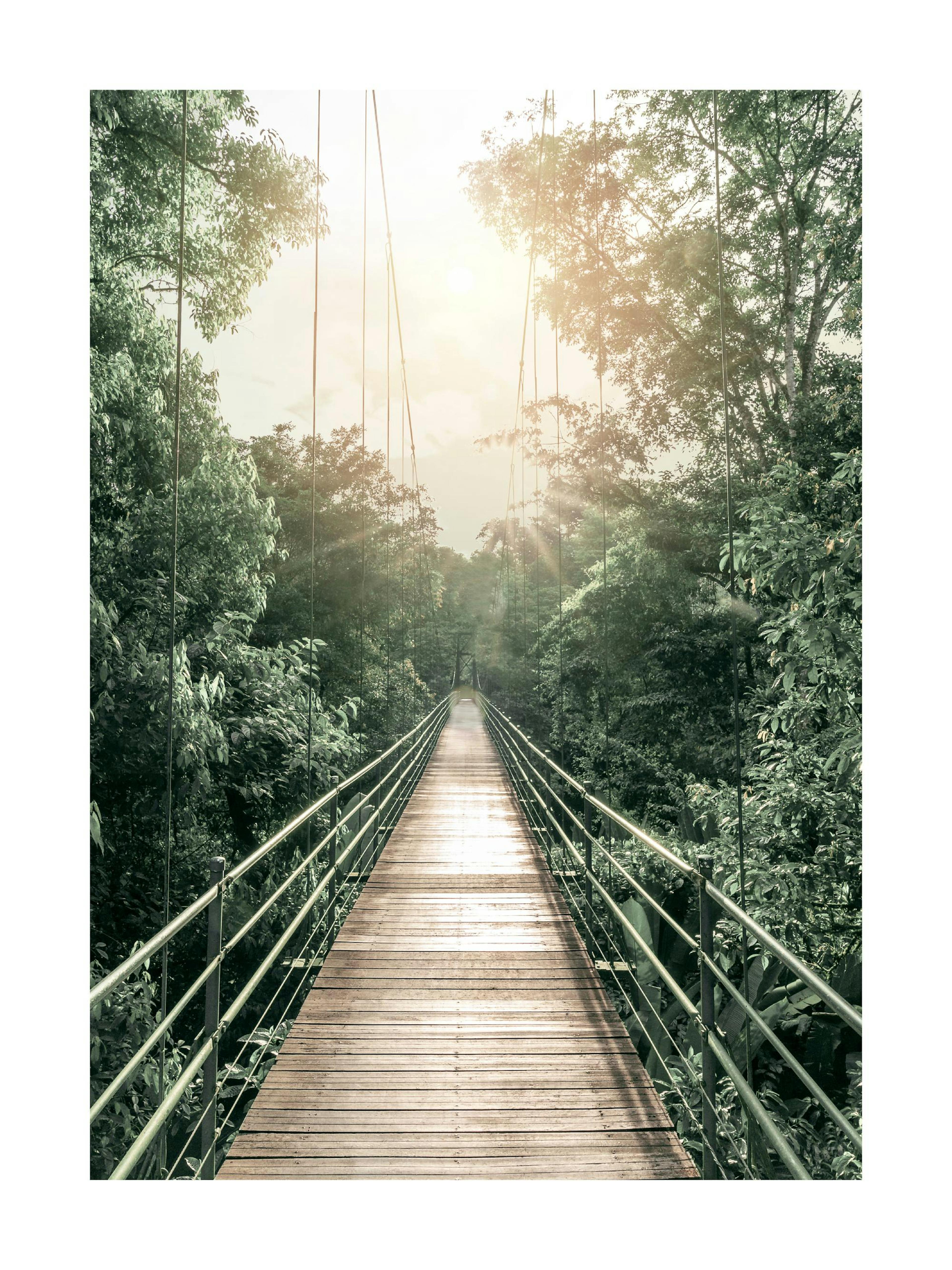Póster de un puente colgante de madera con barandales de metal y exuberante follaje verde, con la luz del sol al fondo.