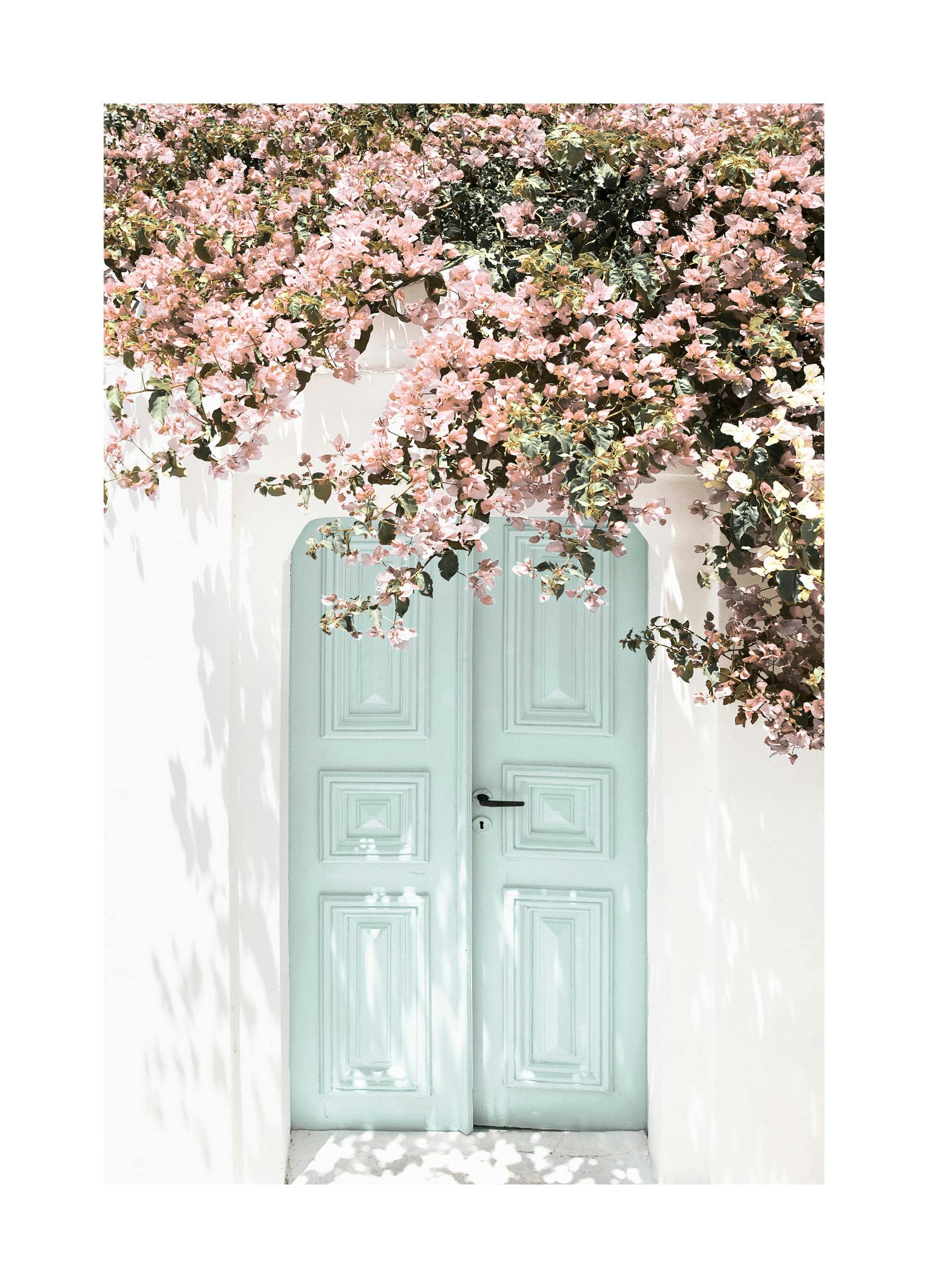 Rosa Blommor Dörr Poster (50x50 cm) - Poster Store