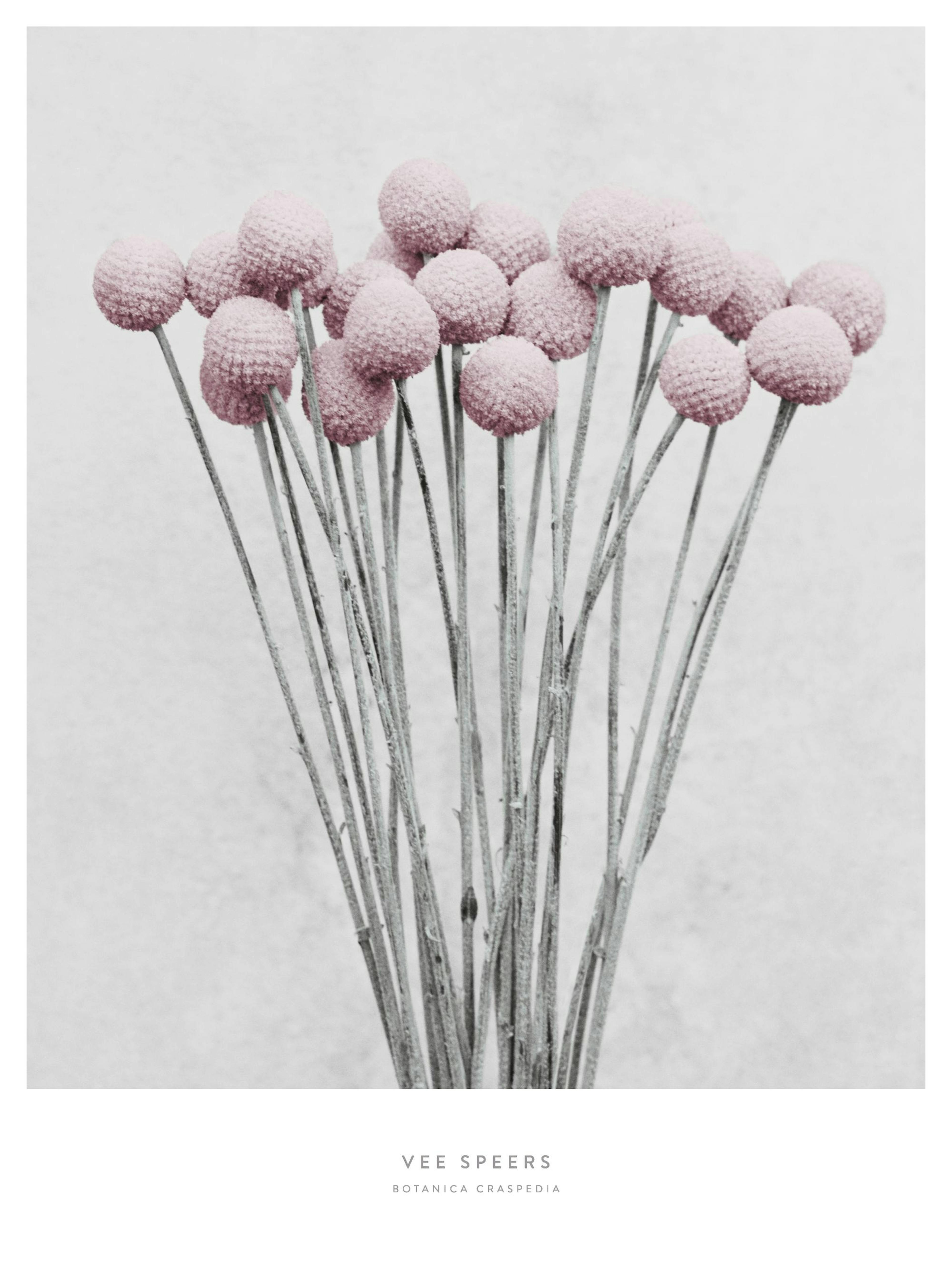 Product image: 1