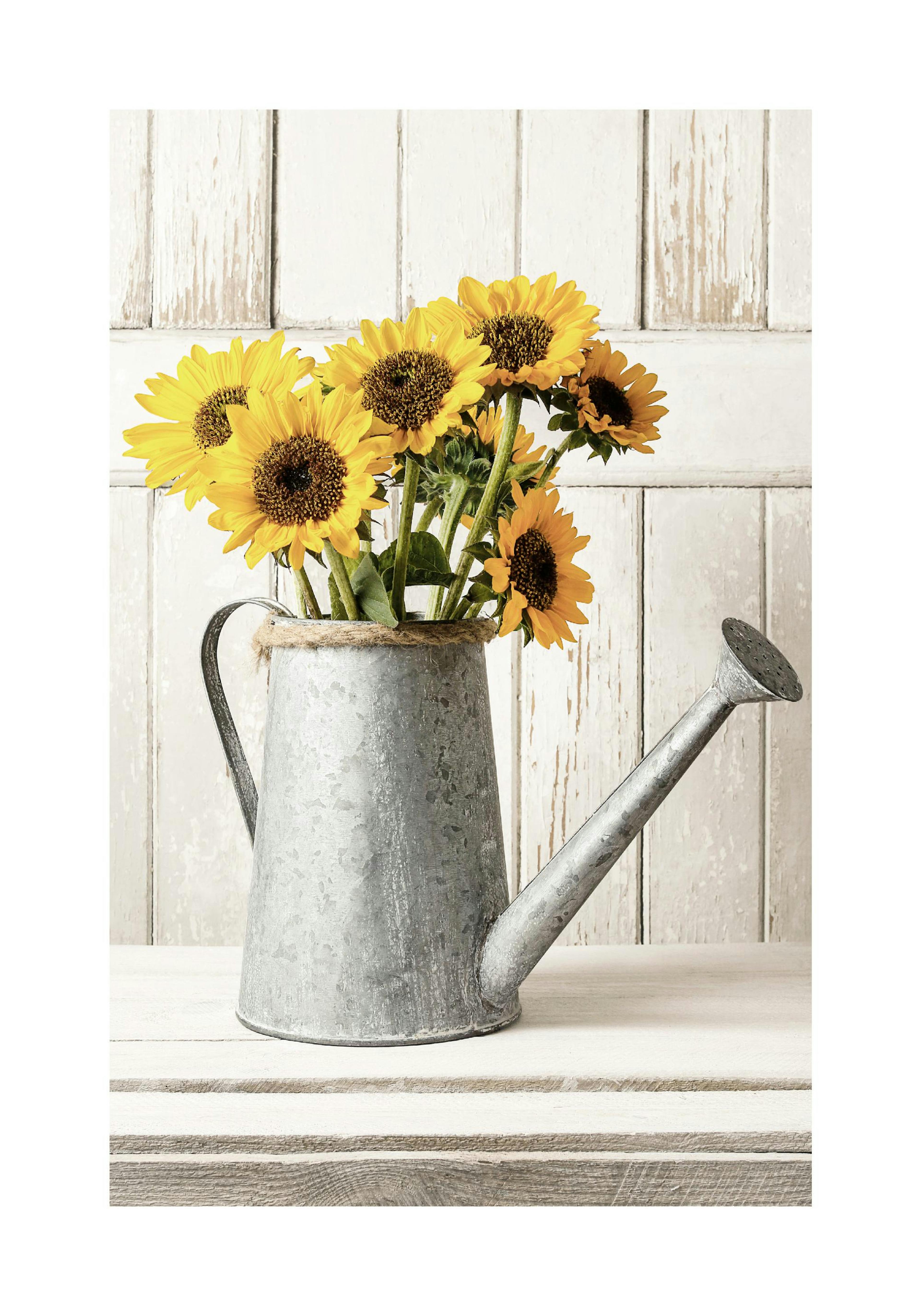 Product image: 1