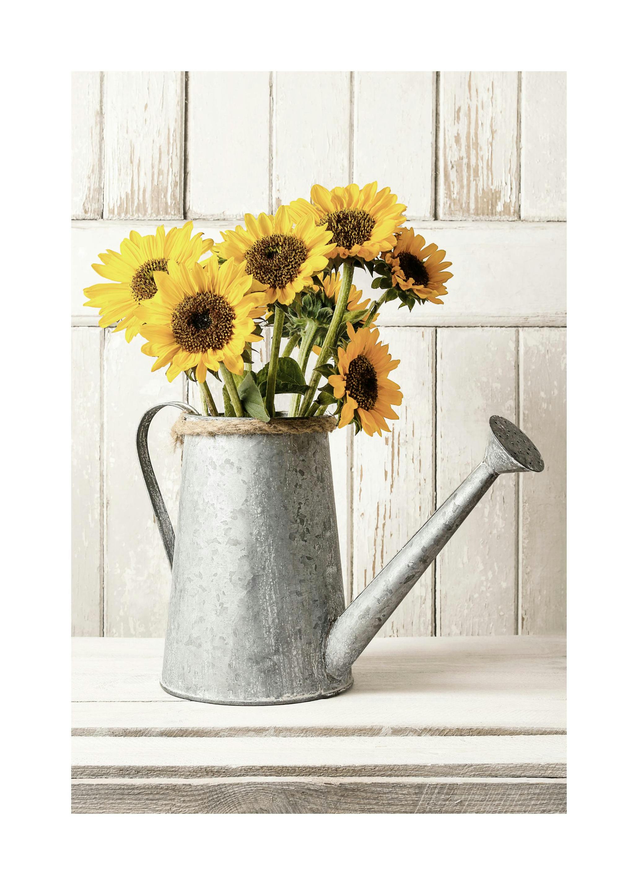 Zonnebloem Vaas Poster (30x40 cm) - Poster Store