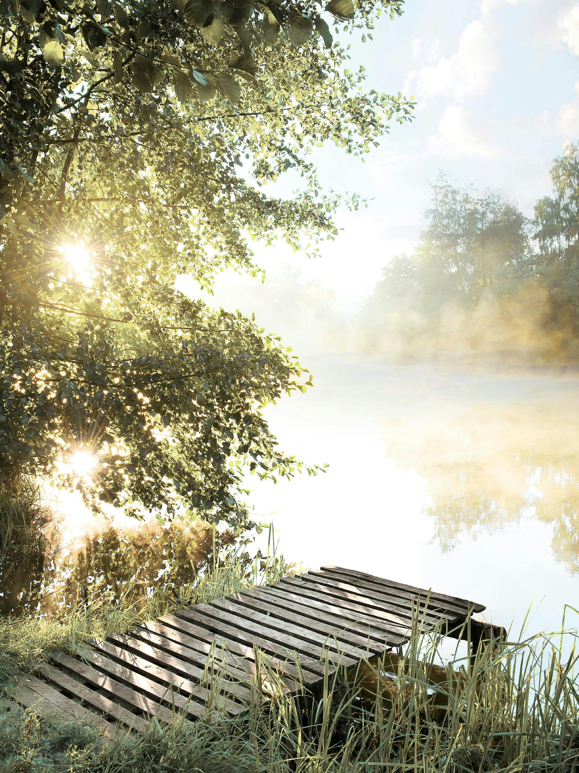 Juliste kuvastaa usvaista järvimaisemaa, jossa auringonsäteet siivilöityvät puiden läpi laiturin ylle.