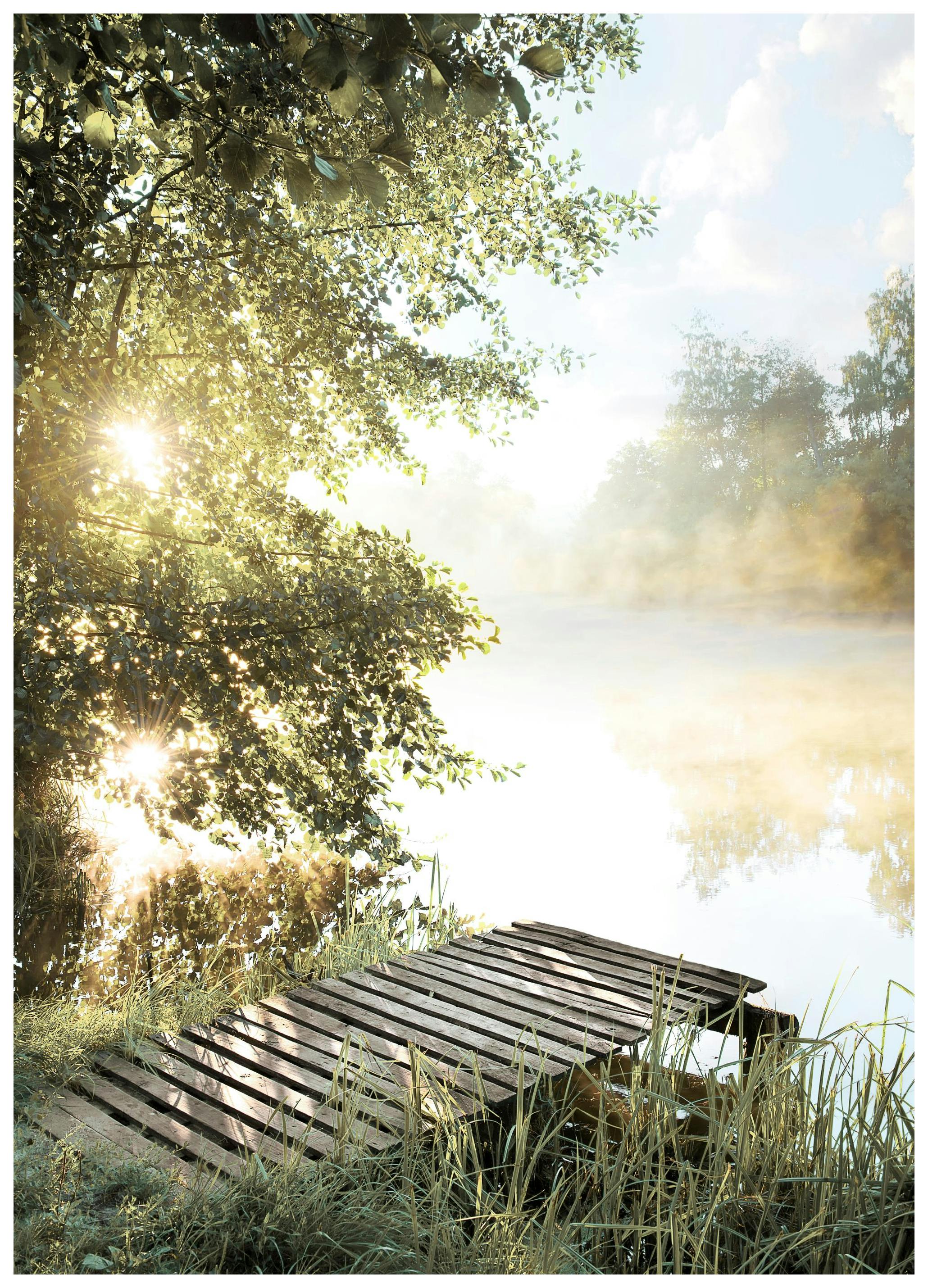 Foggy Summer Lake Poster (50x50 cm) - Poster Store