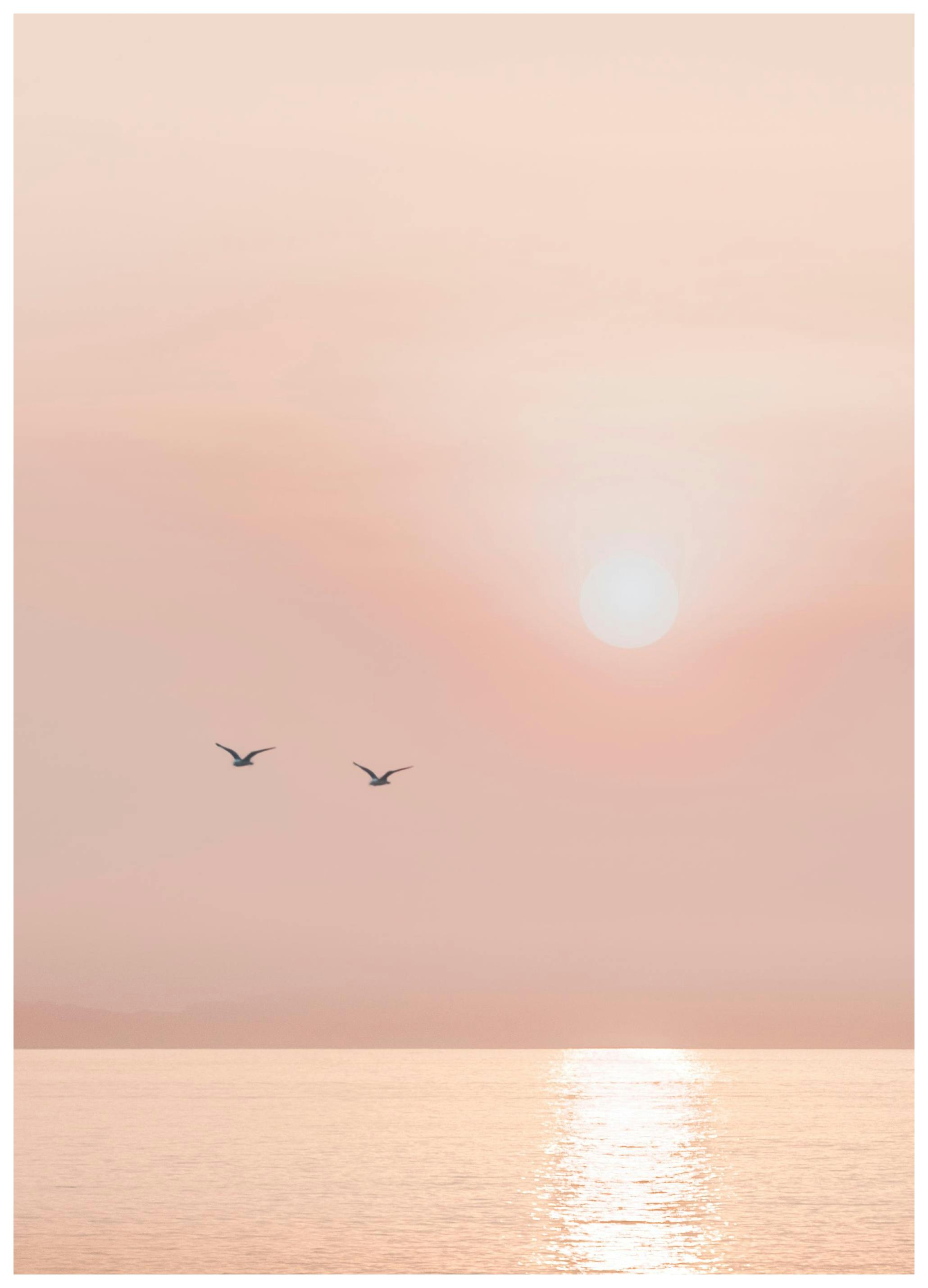 Misty Horizon Poster (50x70 cm) - Poster Store
