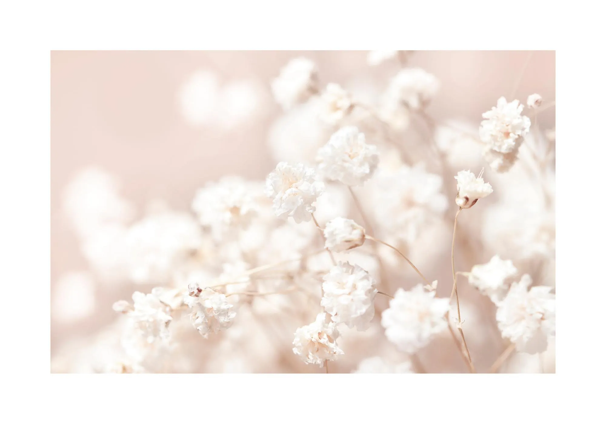 Kleine getrocknete Blumen Poster