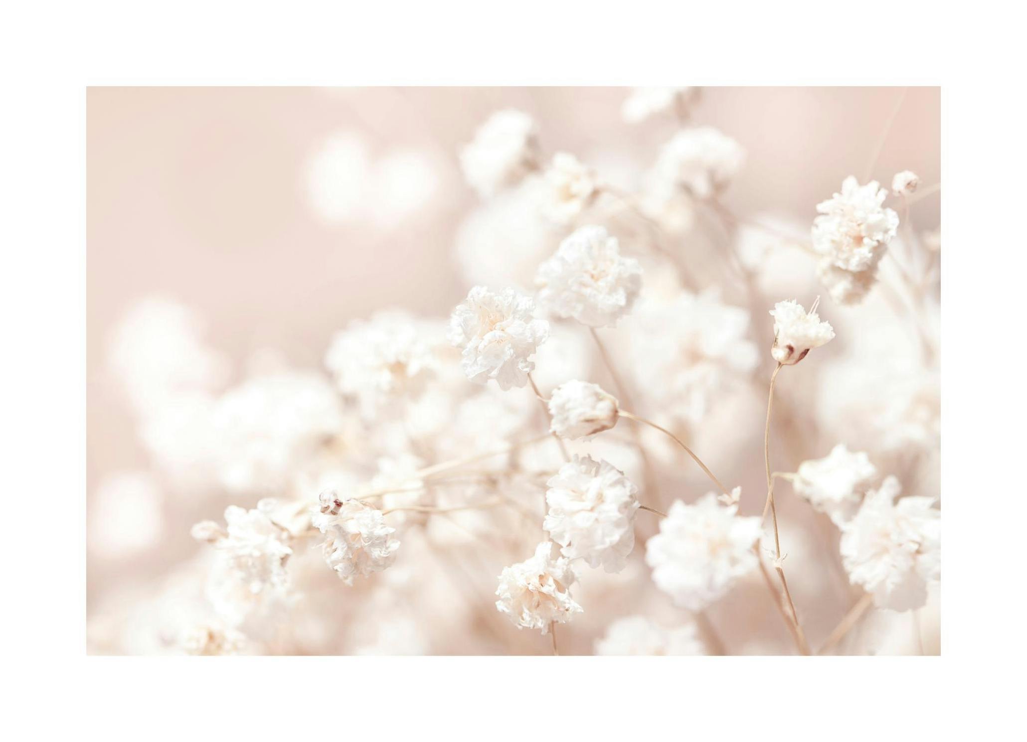 Små Torkade Blommor Poster (30x40 cm) - Poster Store