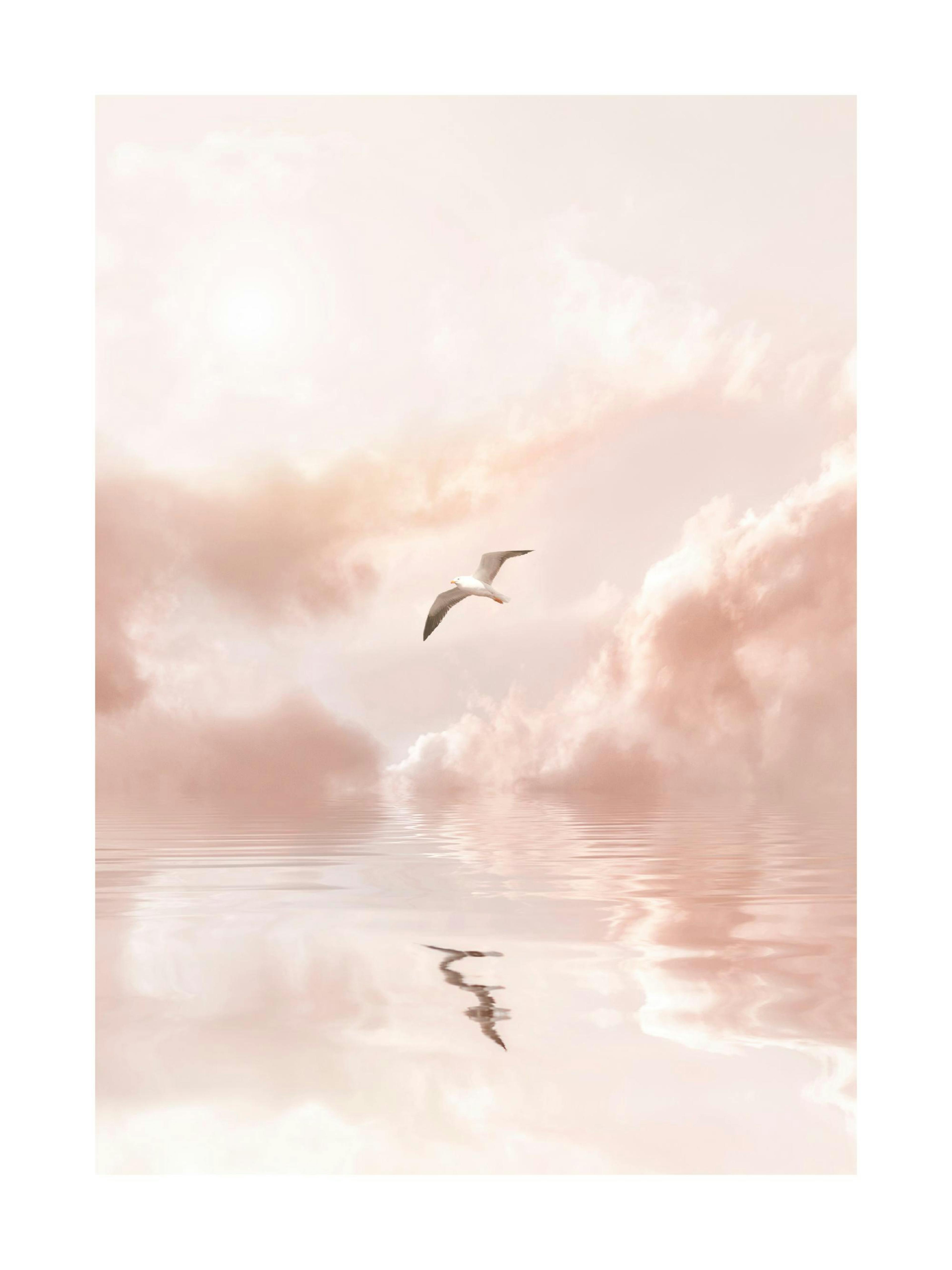 Poster einer Möwe, die über ruhigem, rosafarbenem Wasser mit Wolken und einem hellen Himmel fliegt.