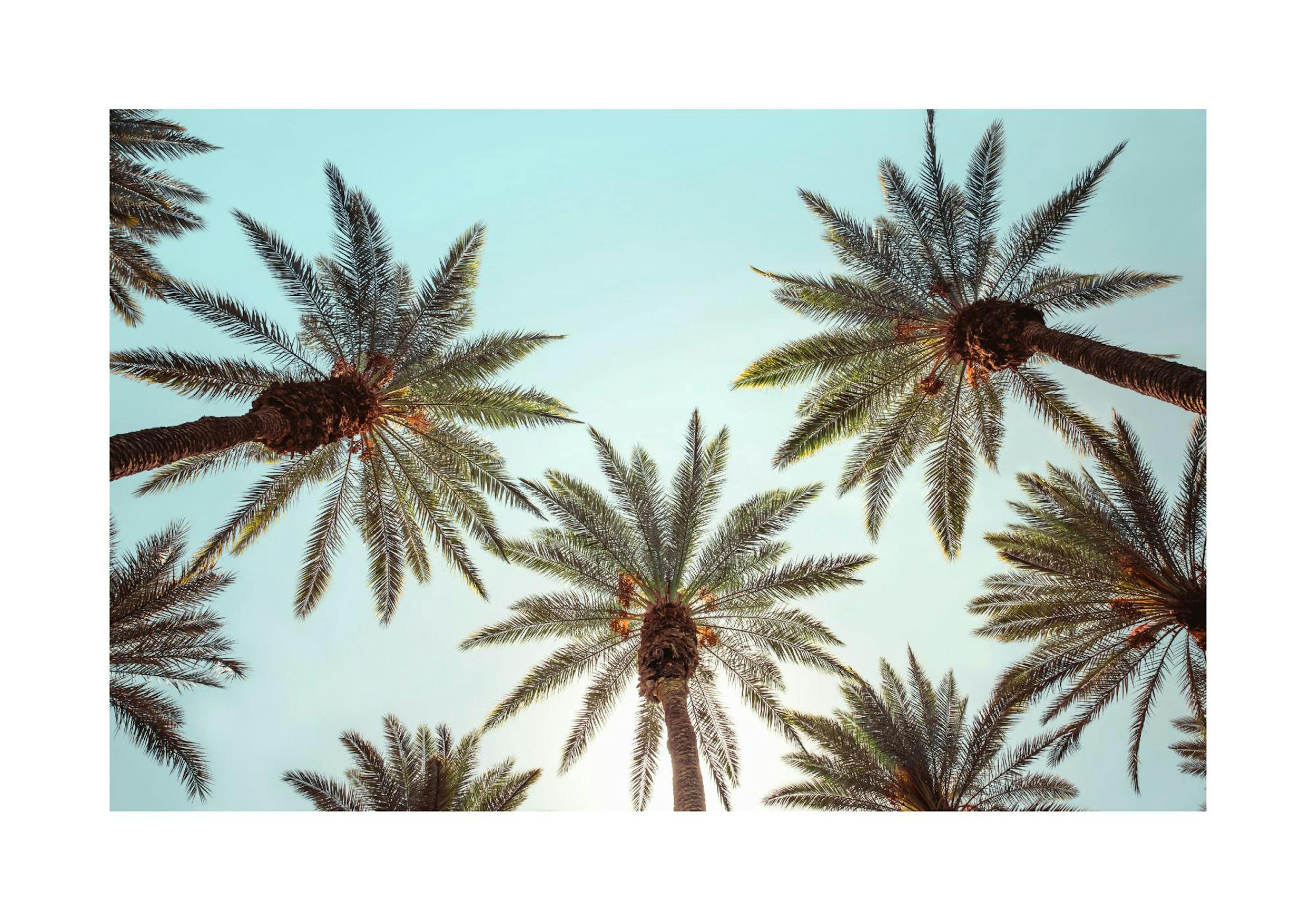 Product image: 1