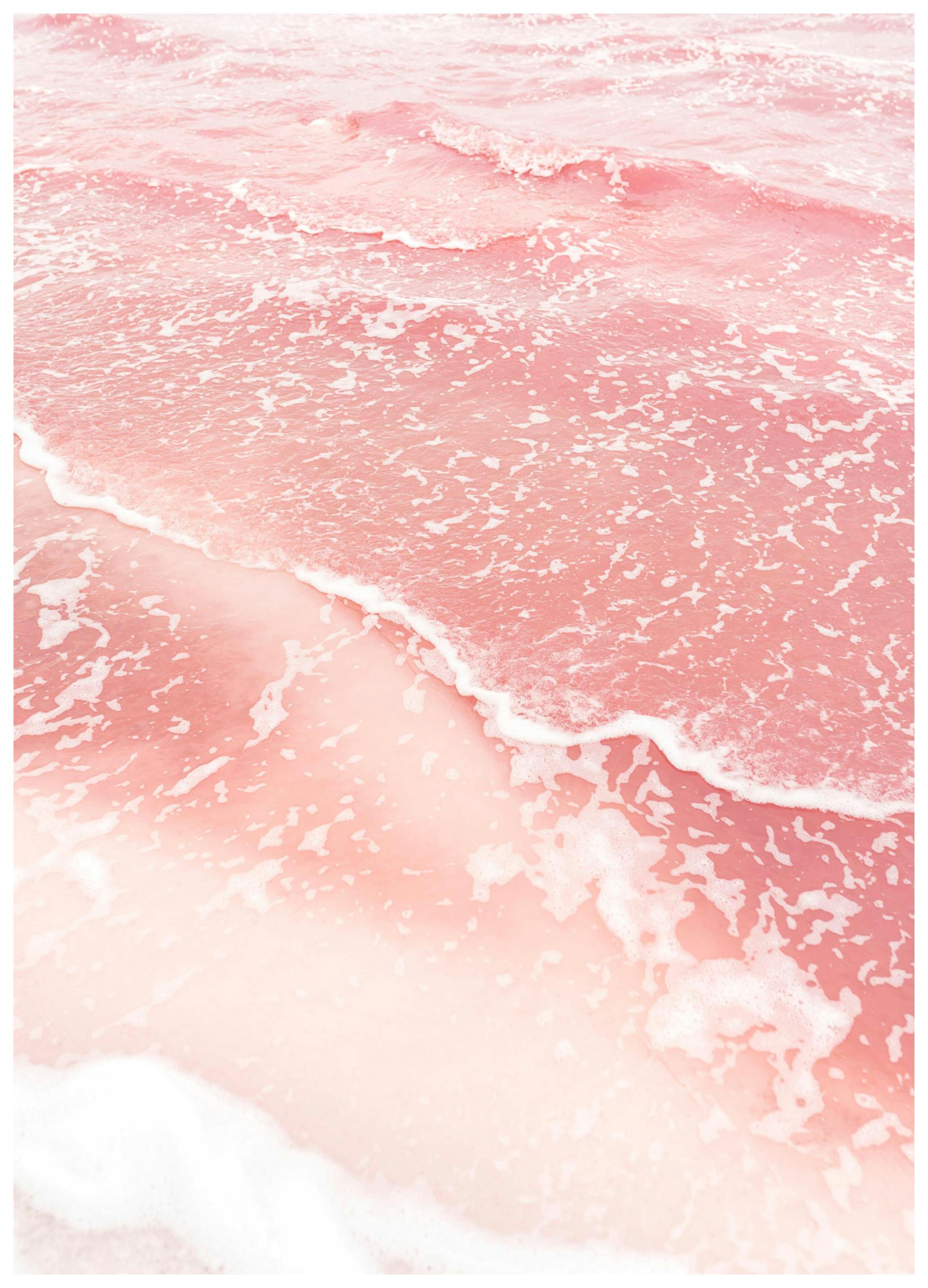 Rosa See Poster (50x70 cm) - Poster Store