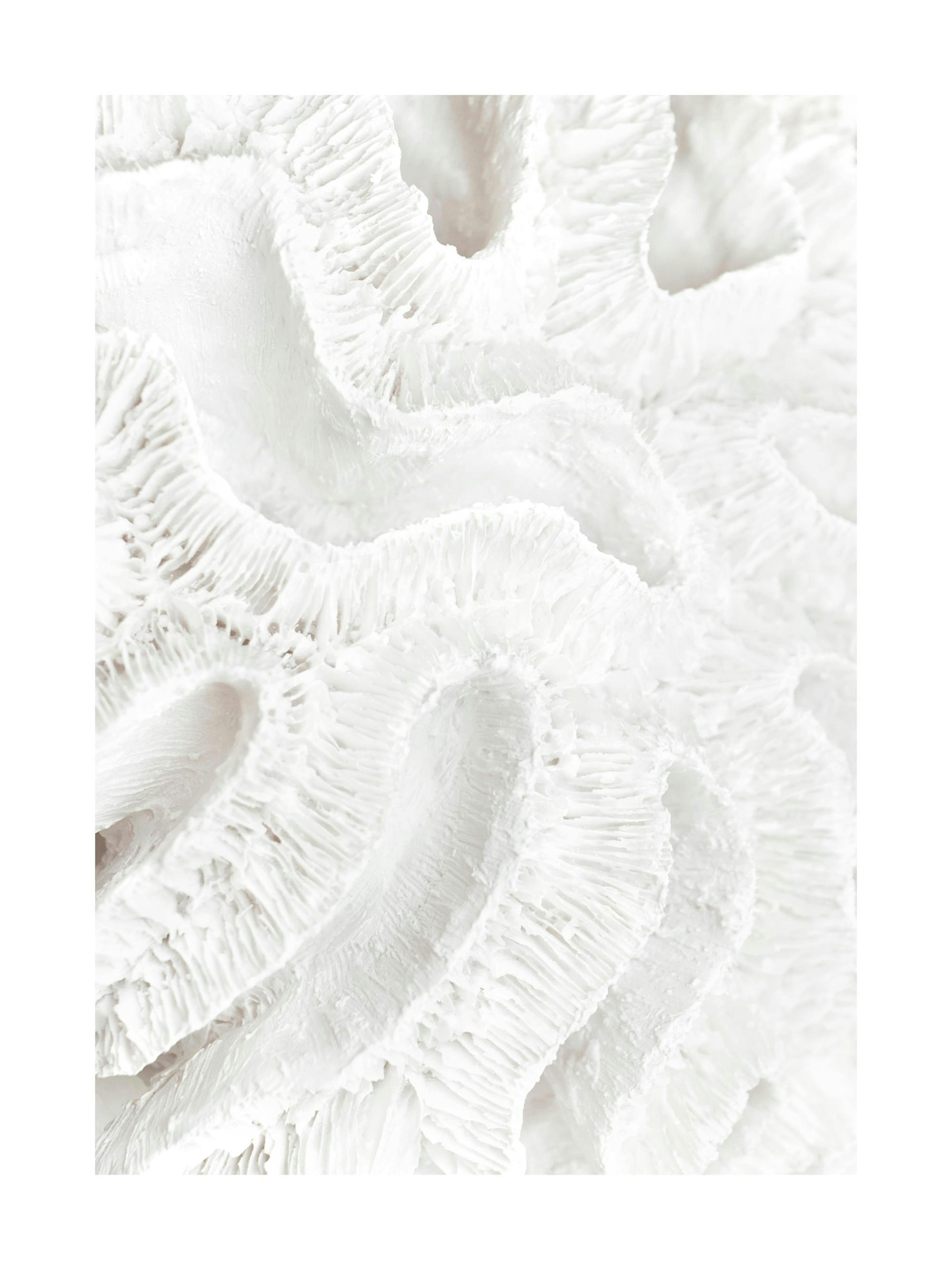 Product image: 1