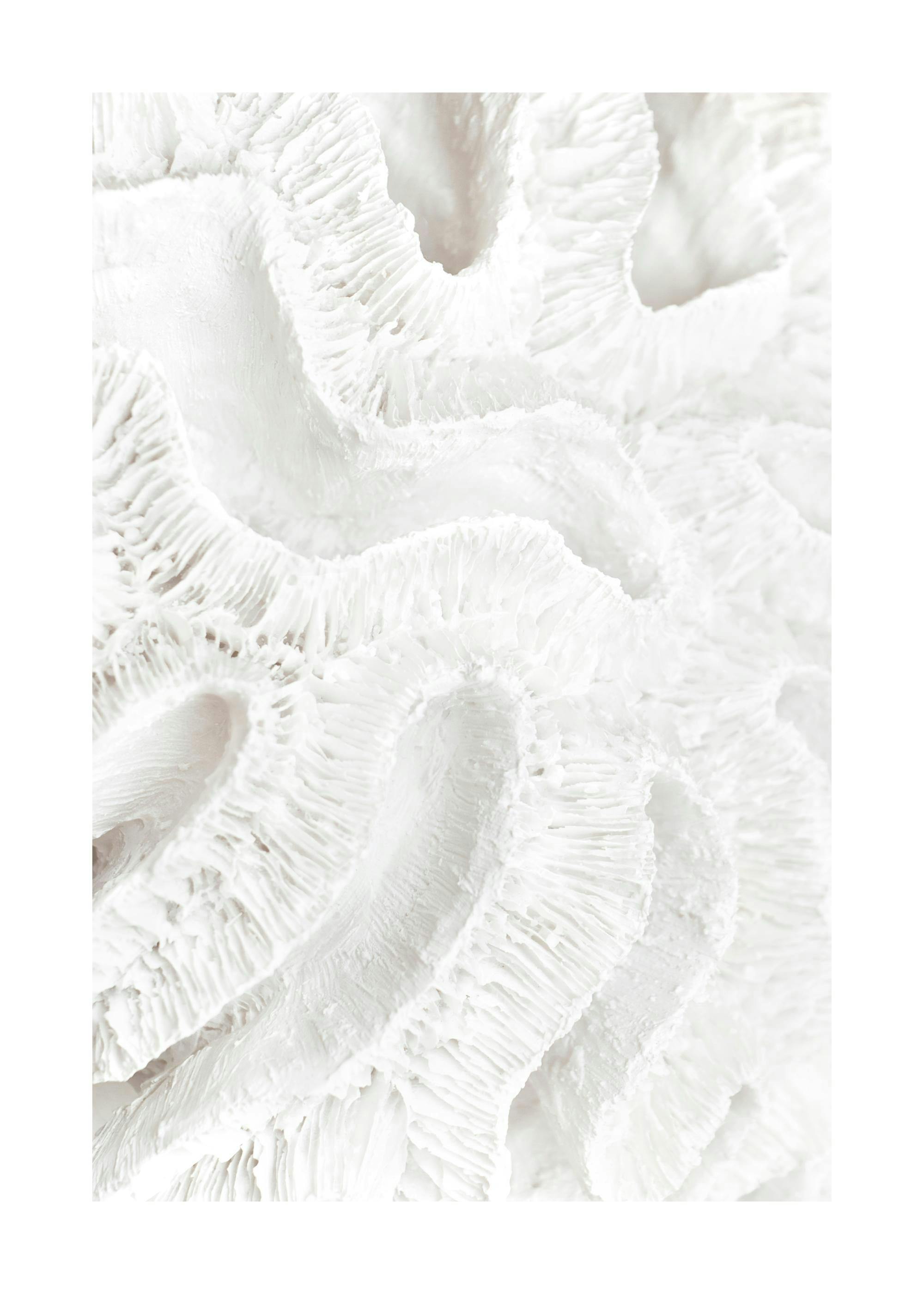 Poster blanc texturé avec des formes ondulées et des motifs rappelant le corail ou des plis abstraits.