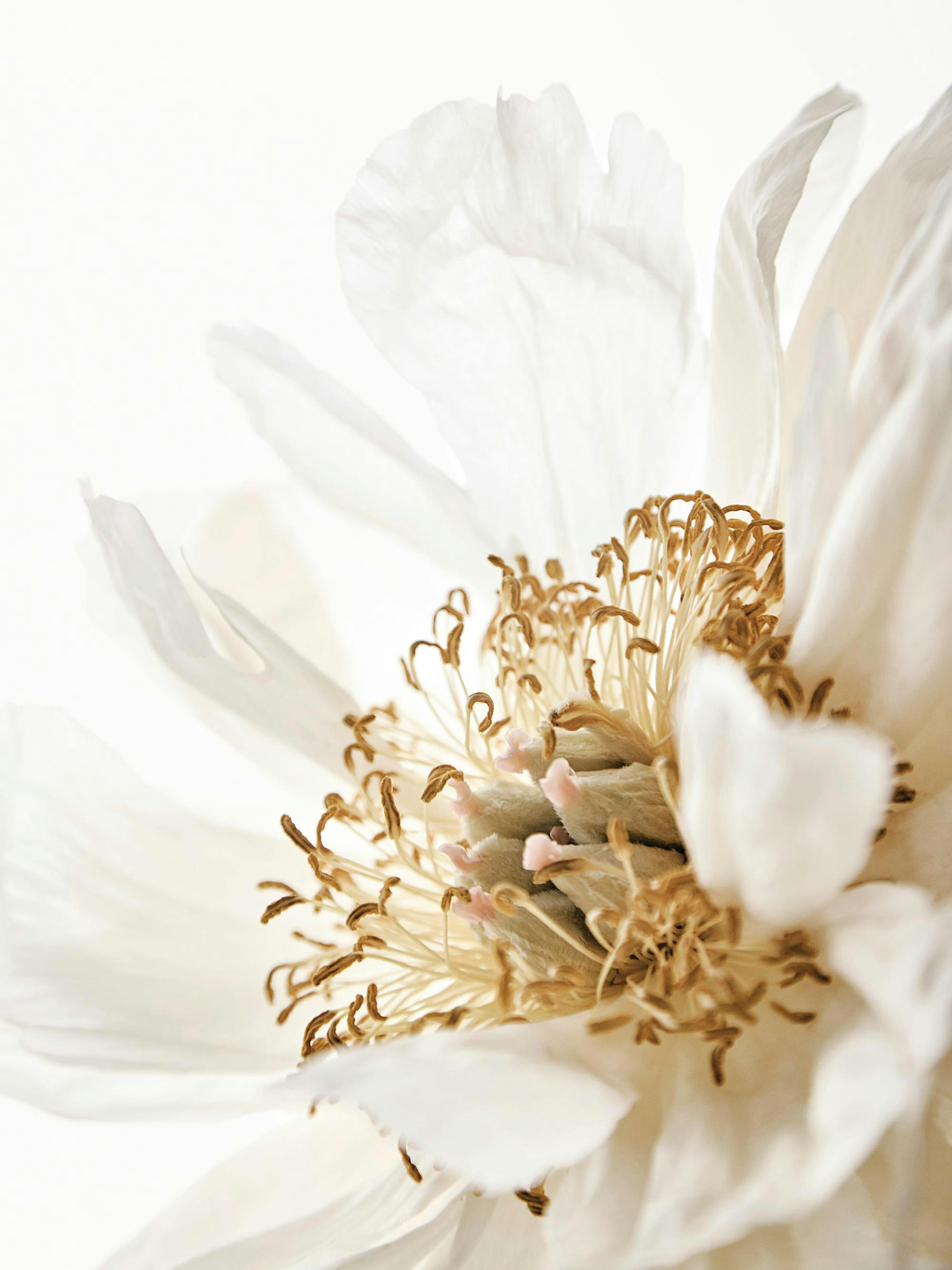 Product image: 1