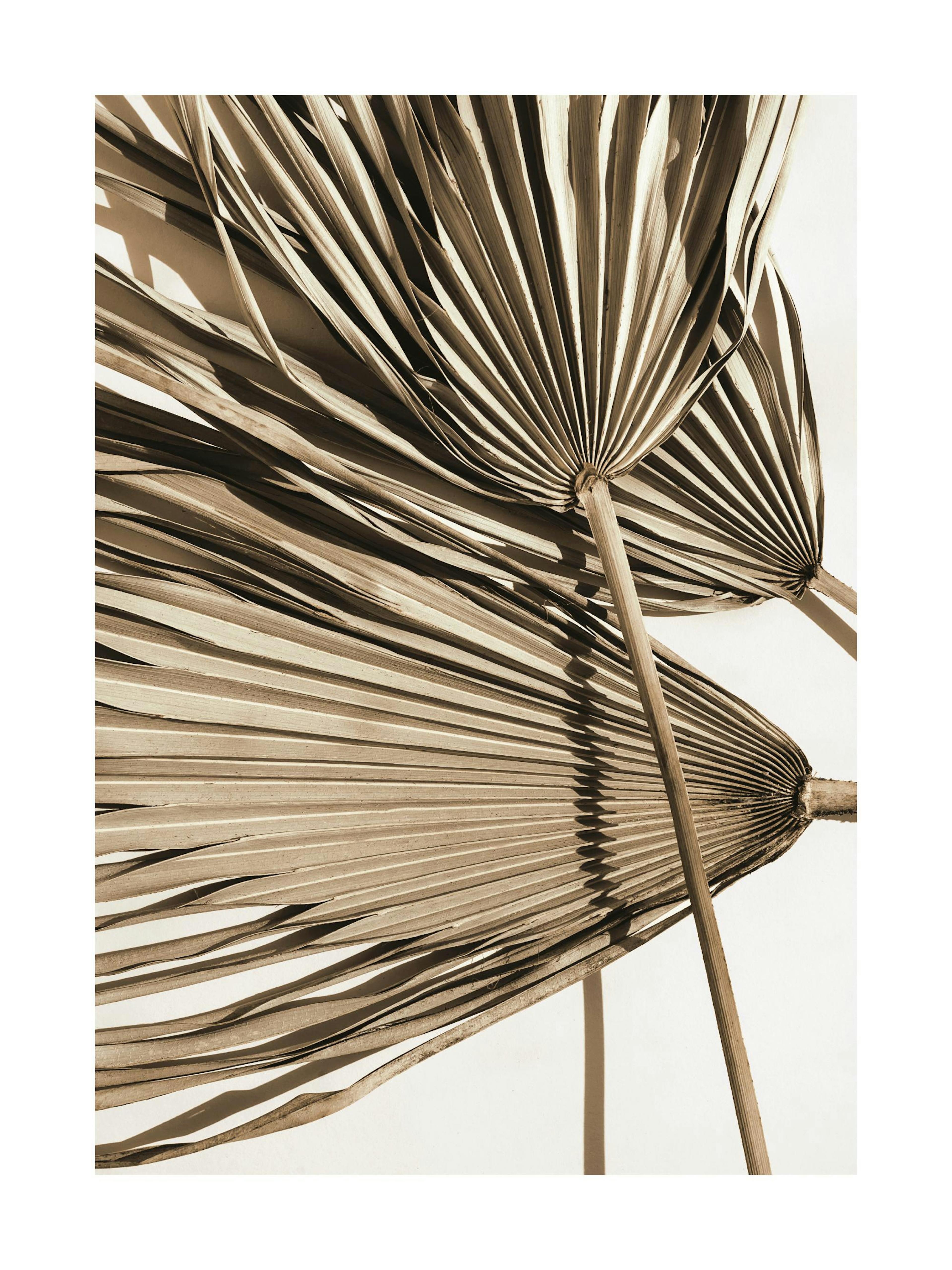 Product image: 1