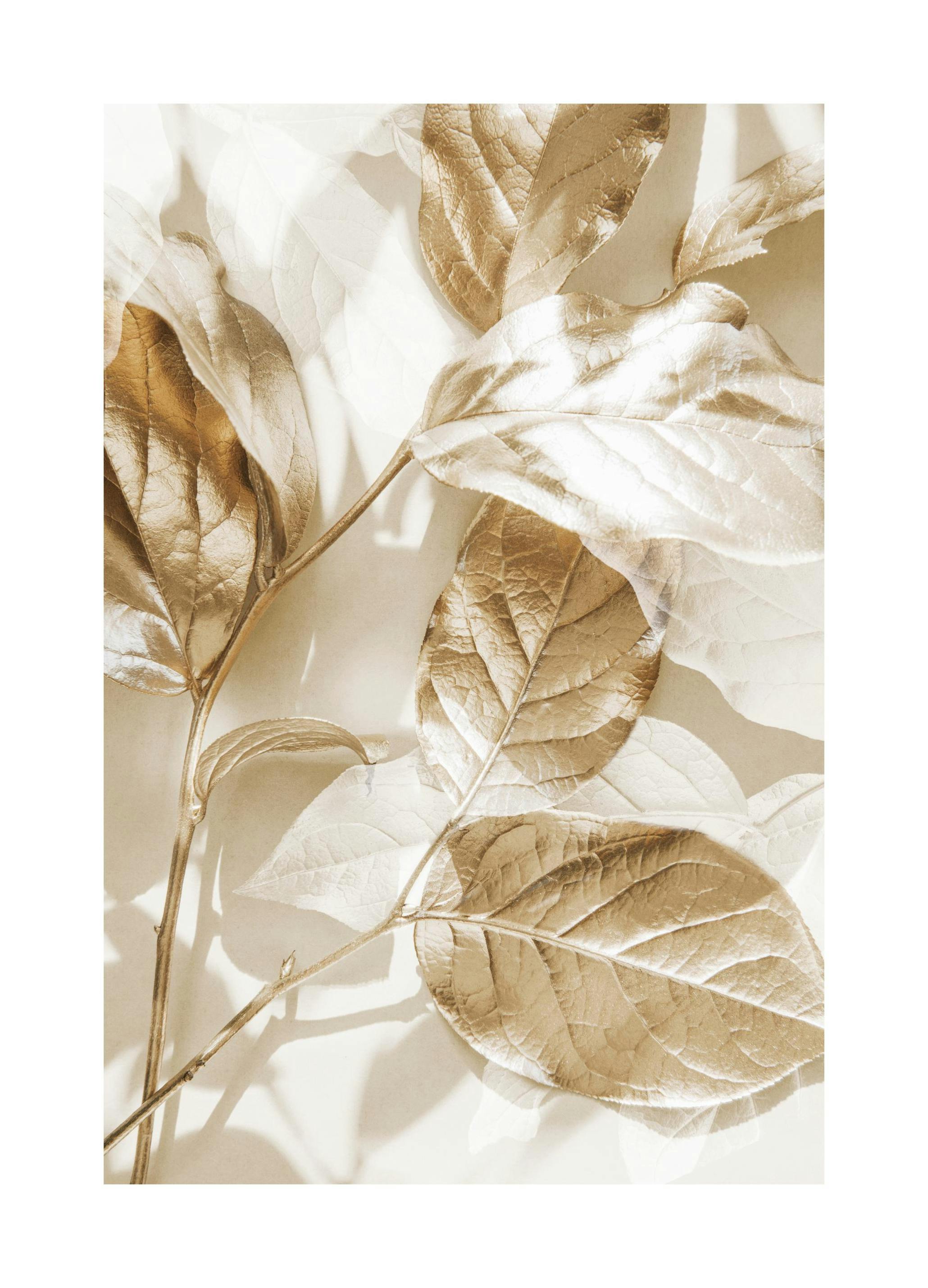 Eukalyptus Guld Nr 1 Poster (70x100 cm) - Poster Store